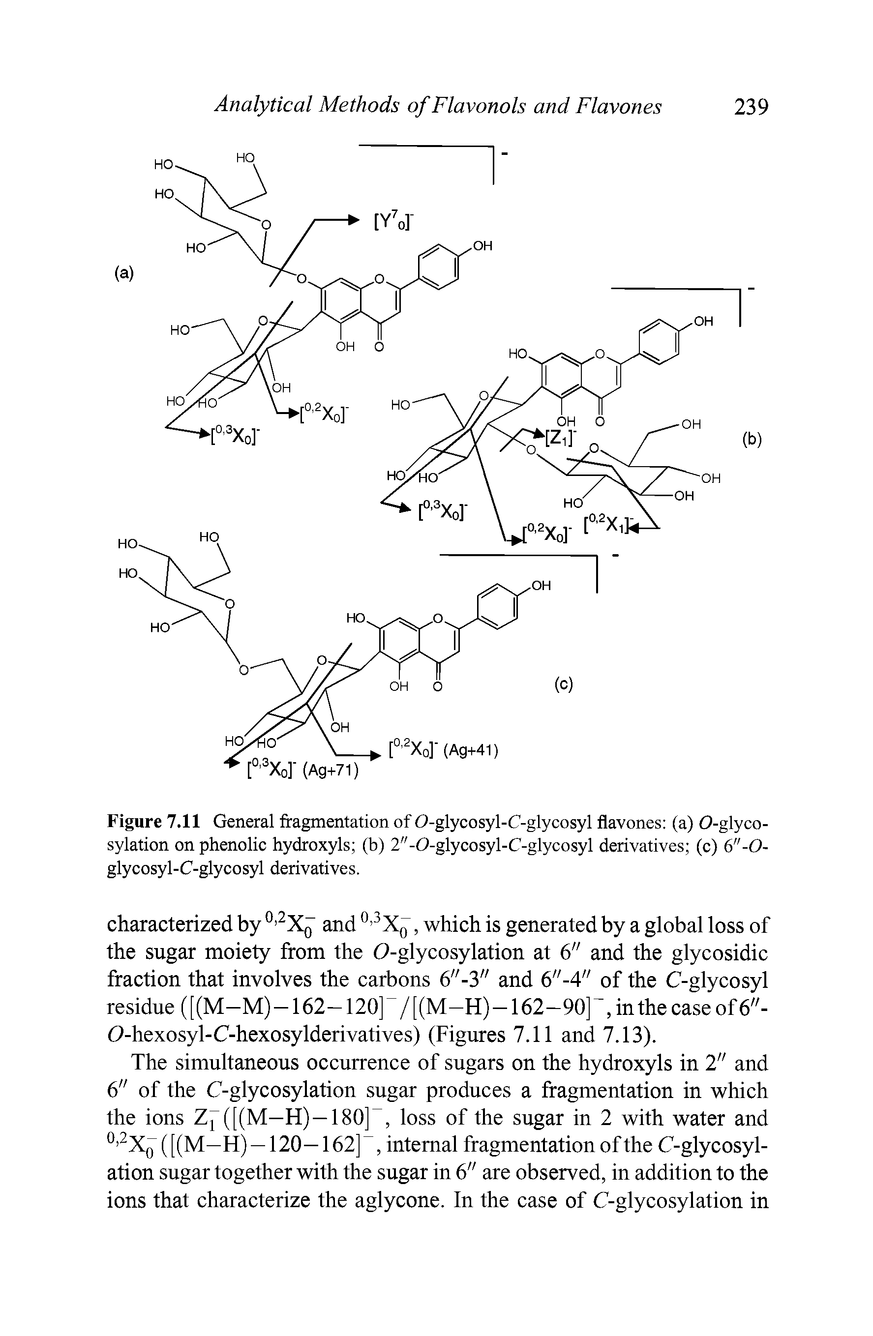 Figure 7.11 General fragmentation of 0-glyeosyl-C-glycosyl flavones (a) 0-glyco-sylation on phenolie hydroxyls (b) 2"-0-glyeosyl-C-glycosyl derivatives (e) 6"-0-glyeosyl-C-glyeosyl derivatives.
