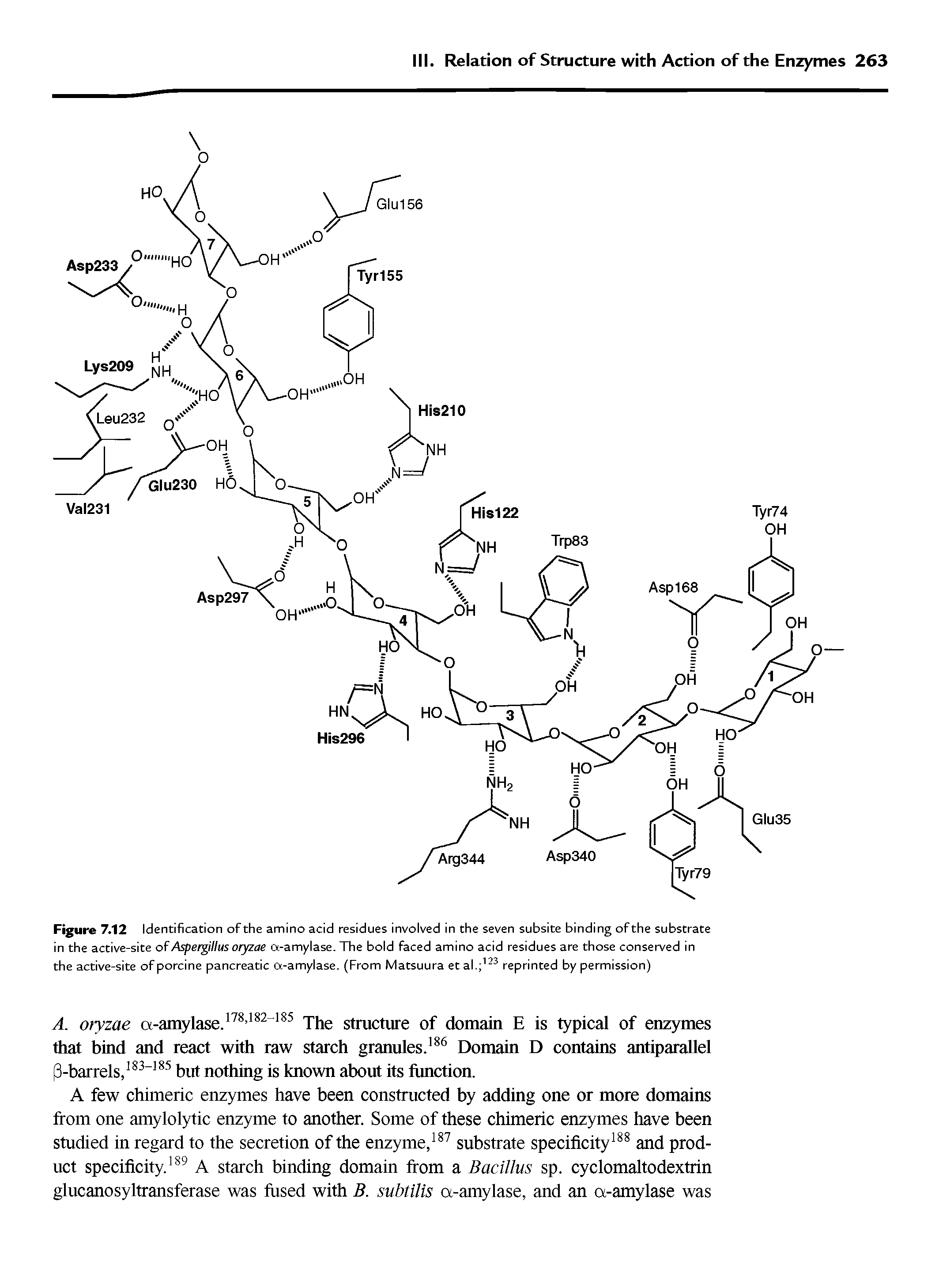 Figure 7.12 Identification of the amino acid residues involved in the seven subsite binding of the substrate in the active-site of Aspergillus oryzae a-amylase. The bold faced amino acid residues are those conserved in the active-site of porcine pancreatic a-amylase. (From Matsuura et al. 123 reprinted by permission)...