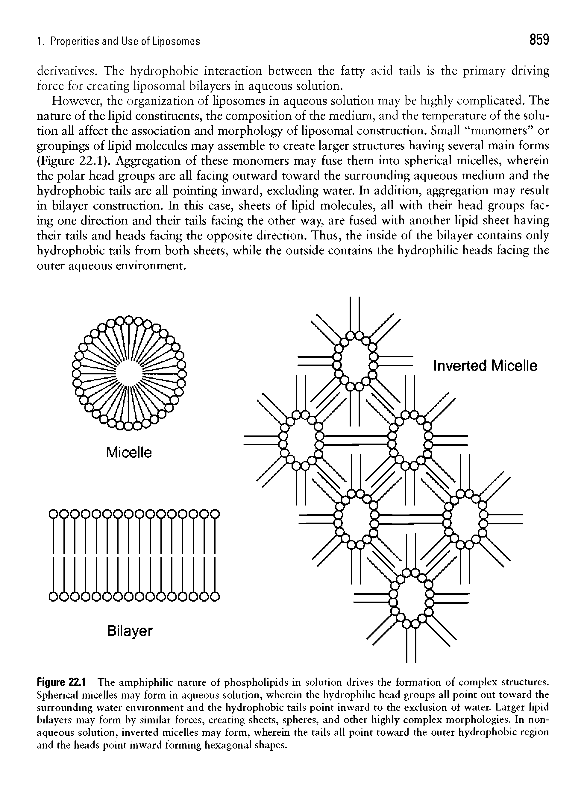 Figure 22.1 The amphiphilic nature of phospholipids in solution drives the formation of complex structures. Spherical micelles may form in aqueous solution, wherein the hydrophilic head groups all point out toward the surrounding water environment and the hydrophobic tails point inward to the exclusion of water. Larger lipid bilayers may form by similar forces, creating sheets, spheres, and other highly complex morphologies. In non-aqueous solution, inverted micelles may form, wherein the tails all point toward the outer hydrophobic region and the heads point inward forming hexagonal shapes.