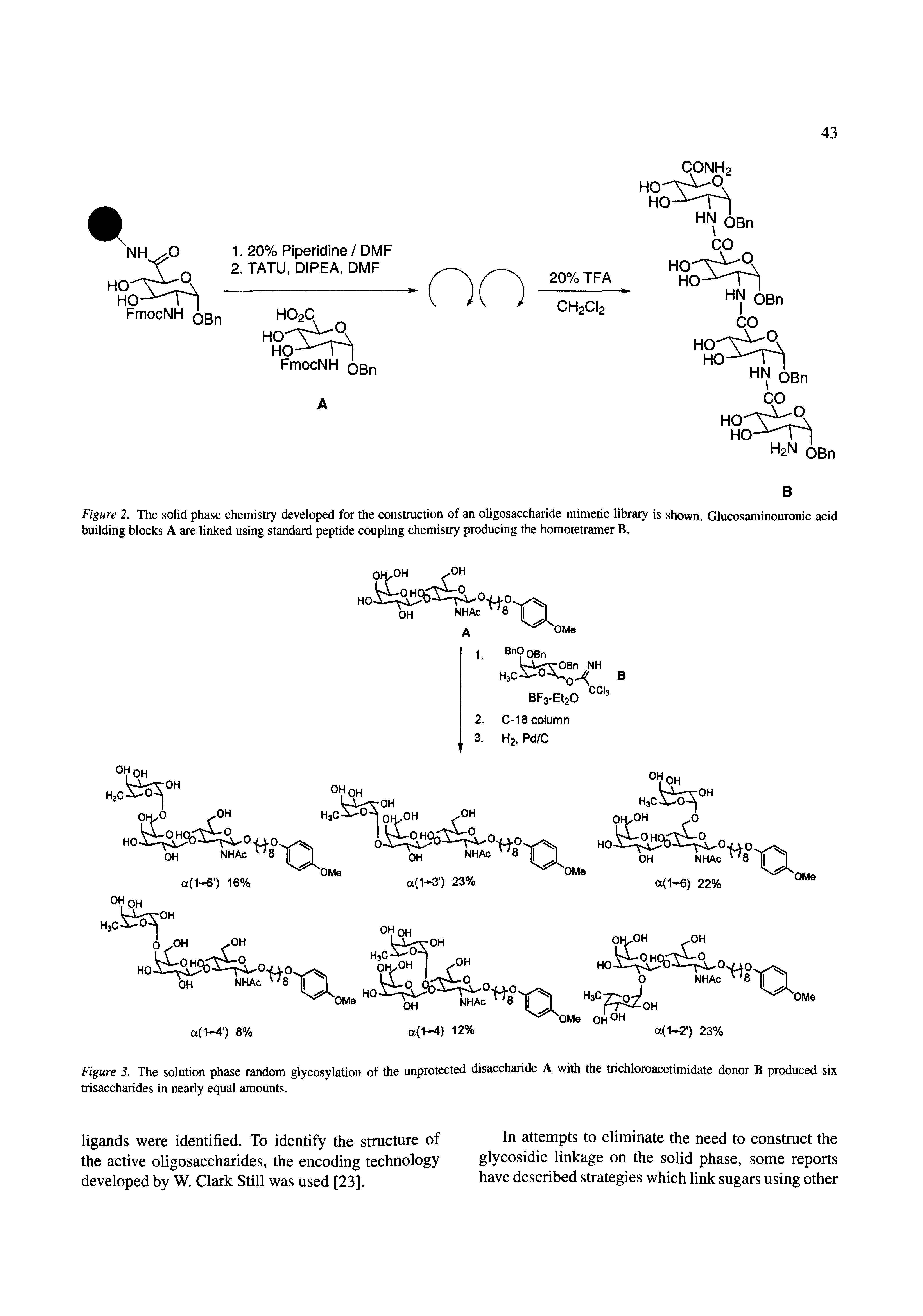 Figure 2. The solid phase chemistry developed for the construction of an oligosaccharide mimetic library is shown. Glucosaminouronic acid building blocks A are linked using standard peptide coupling chemistry producing the homotetramer B.