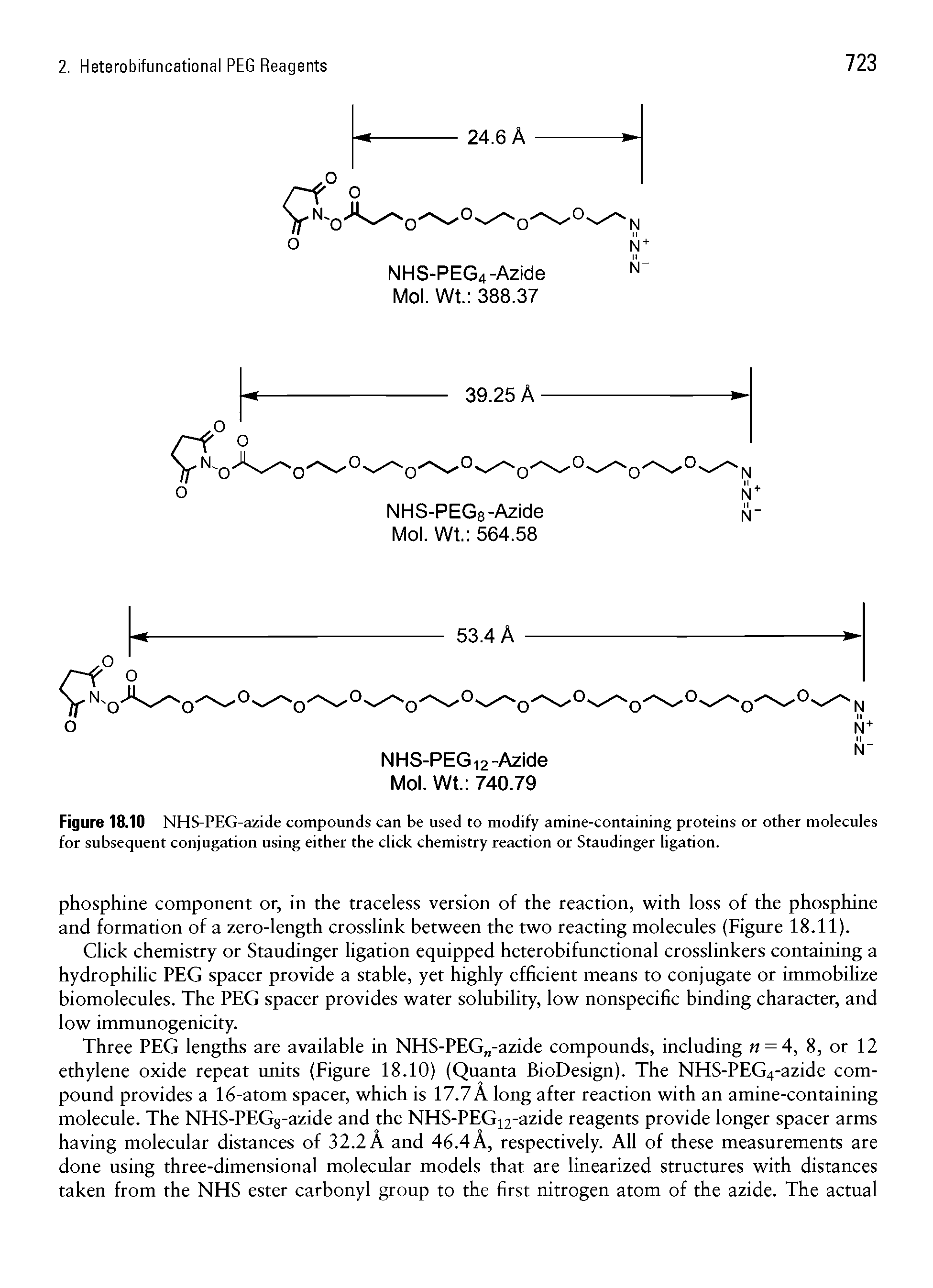 Figure 18.10 NHS-PEG-azide compounds can be used to modify amine-containing proteins or other molecules for subsequent conjugation using either the click chemistry reaction or Staudinger ligation.