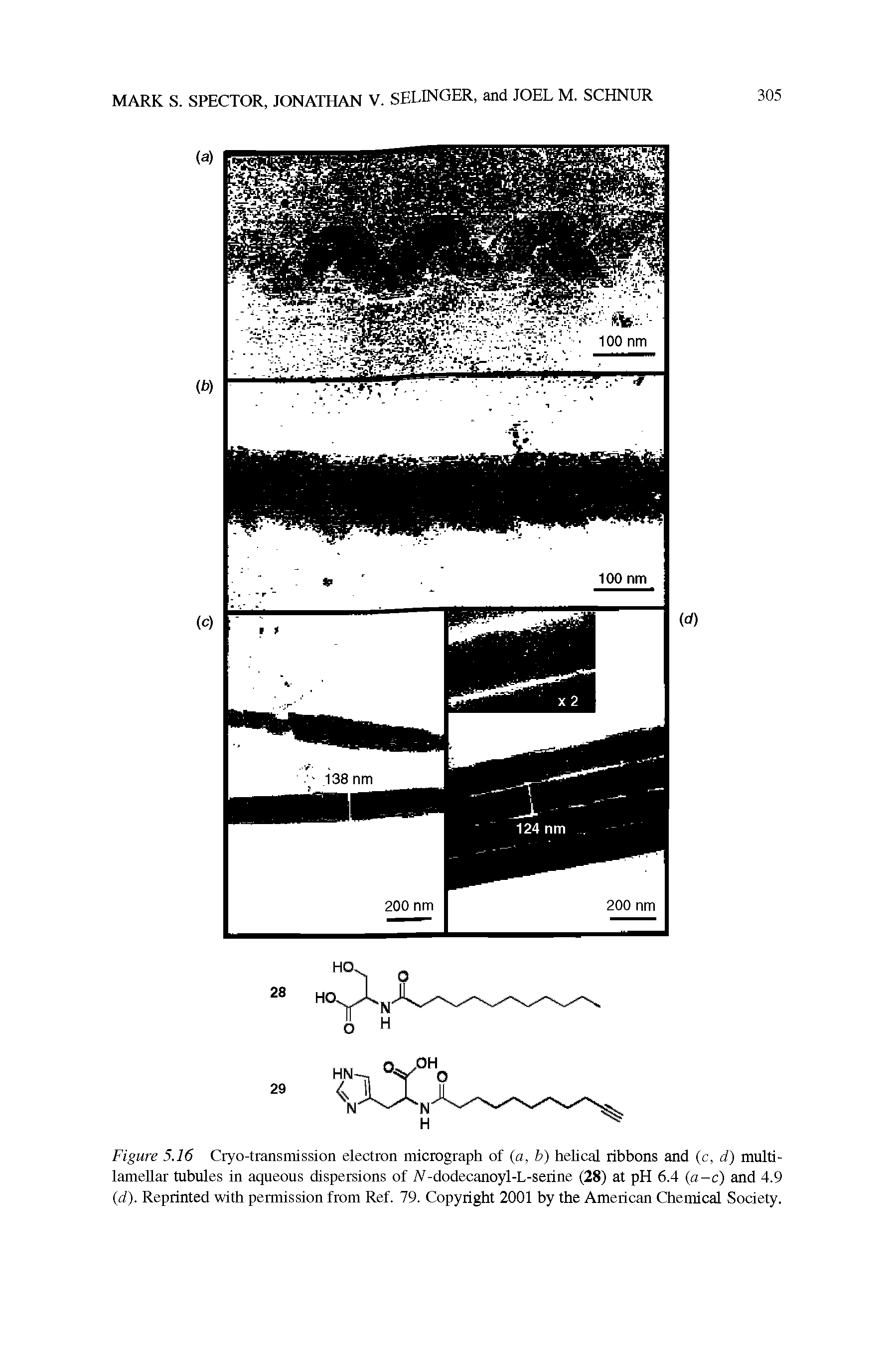 Figure 5.16 Cryo-transmission electron micrograph of (a, b) helical ribbons and (c, d) multi-lamellar tubules in aqueous dispersions of A-dodecanoyl-L-serine (28) at pH 6.4 (a-c) and 4.9 (d). Reprinted with permission from Ref. 79. Copyright 2001 by the American Chemical Society.