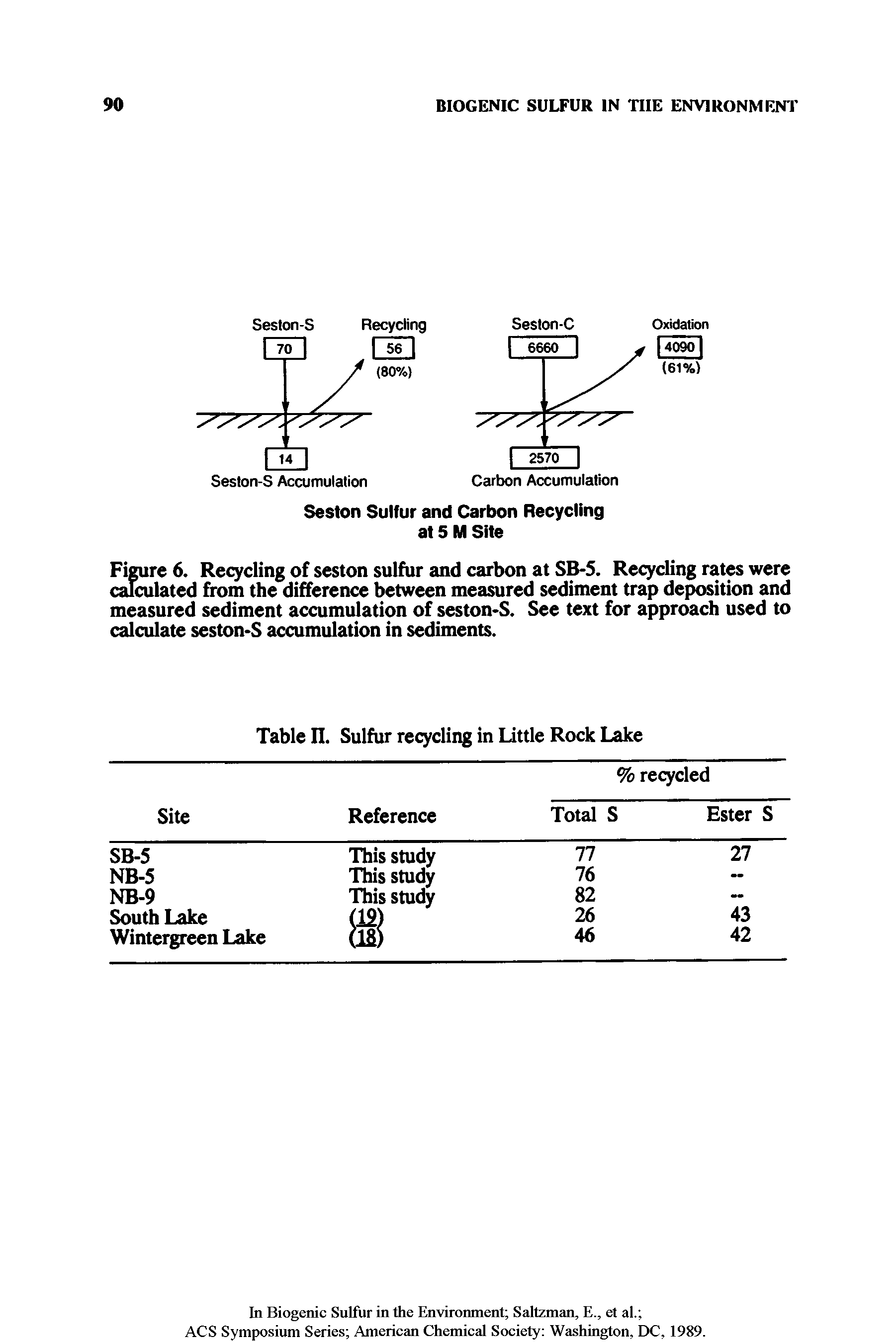 Figure 6. Recycling of seston sulfur and carbon at SB-5. Recycling rates were calculated from the difference between measured sediment trap deposition and measured sediment accumulation of seston-S. See text for approach used to calculate seston-S accumulation in sediments.