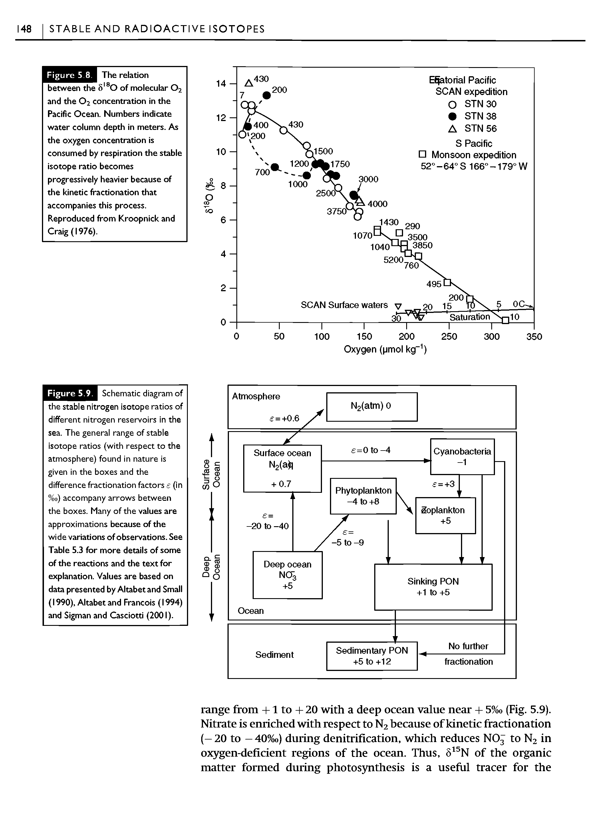Schematic diagram of the stable nitrogen isotope ratios of different nitrogen reservoirs in the sea. The general range of stable isotope ratios (with respect to the atmosphere) found in nature is given in the boxes and the difference fractionation factors e (in %o) accompany arrows between the boxes. Many of the values are approximations because of the wide variations of observations. See Table 5.3 for more details of some of the reactions and the text for explanation. Values are based on data presented by Altabet and Small (1990), Altabet and Francois (1994) and Sigman and Casciotti (2001).
