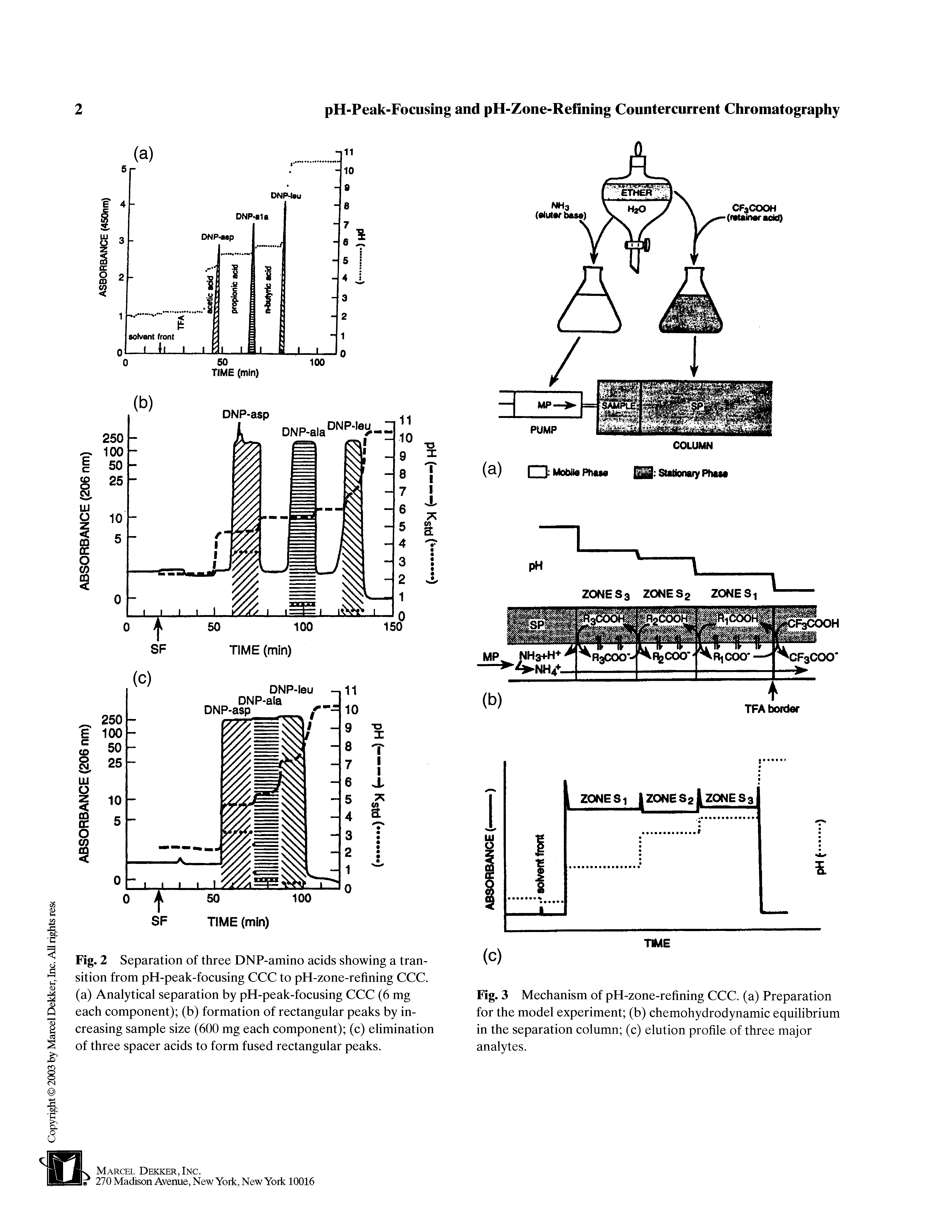 Fig. 3 Mechanism of pH-zone-refining CCC. (a) Preparation for the model experiment (b) chemohydrodynamic equilibrium in the separation column (c) elution profile of three major analytes.