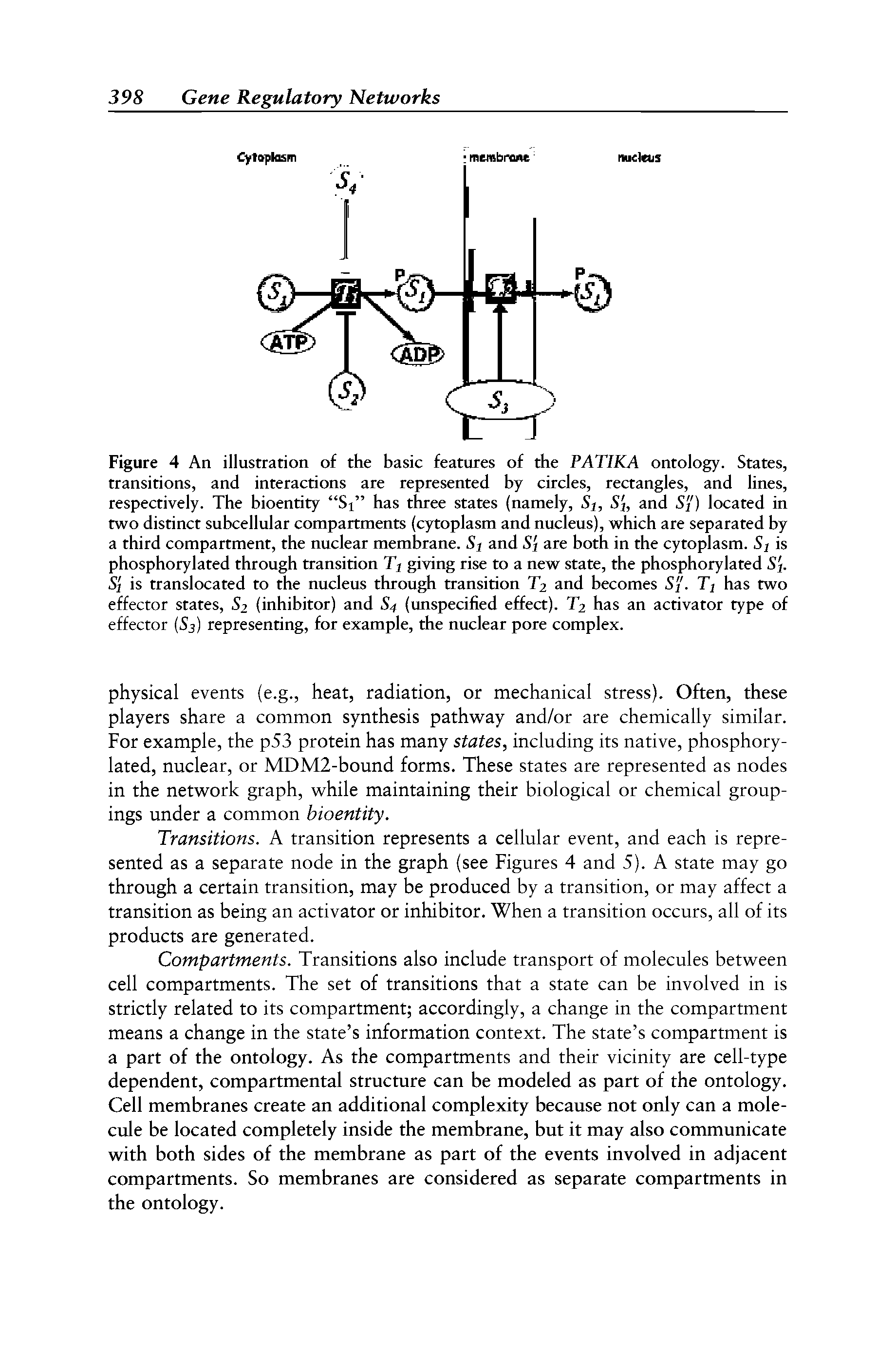 Figure 4 An illustration of the basic features of the PATIKA ontology. States, transitions, and interactions are represented by circles, rectangles, and lines, respectively. The bioentity Si has three states (namely. Si, Si, and Si) located in two distinct subcellular compartments (cytoplasm and nucleus), which are separated by a third compartment, the nuclear membrane. Si and Si are both in the cytoplasm. Sj is phosphorylated through transition Tj giving rise to a new state, the phosphorylated Si. S l is translocated to the nucleus through transition T2 and becomes S l. Ti has two effector states, S2 (inhibitor) and S4 (unspecified effect). T2 has an activator type of effector S3) representing, for example, the nuclear pore complex.
