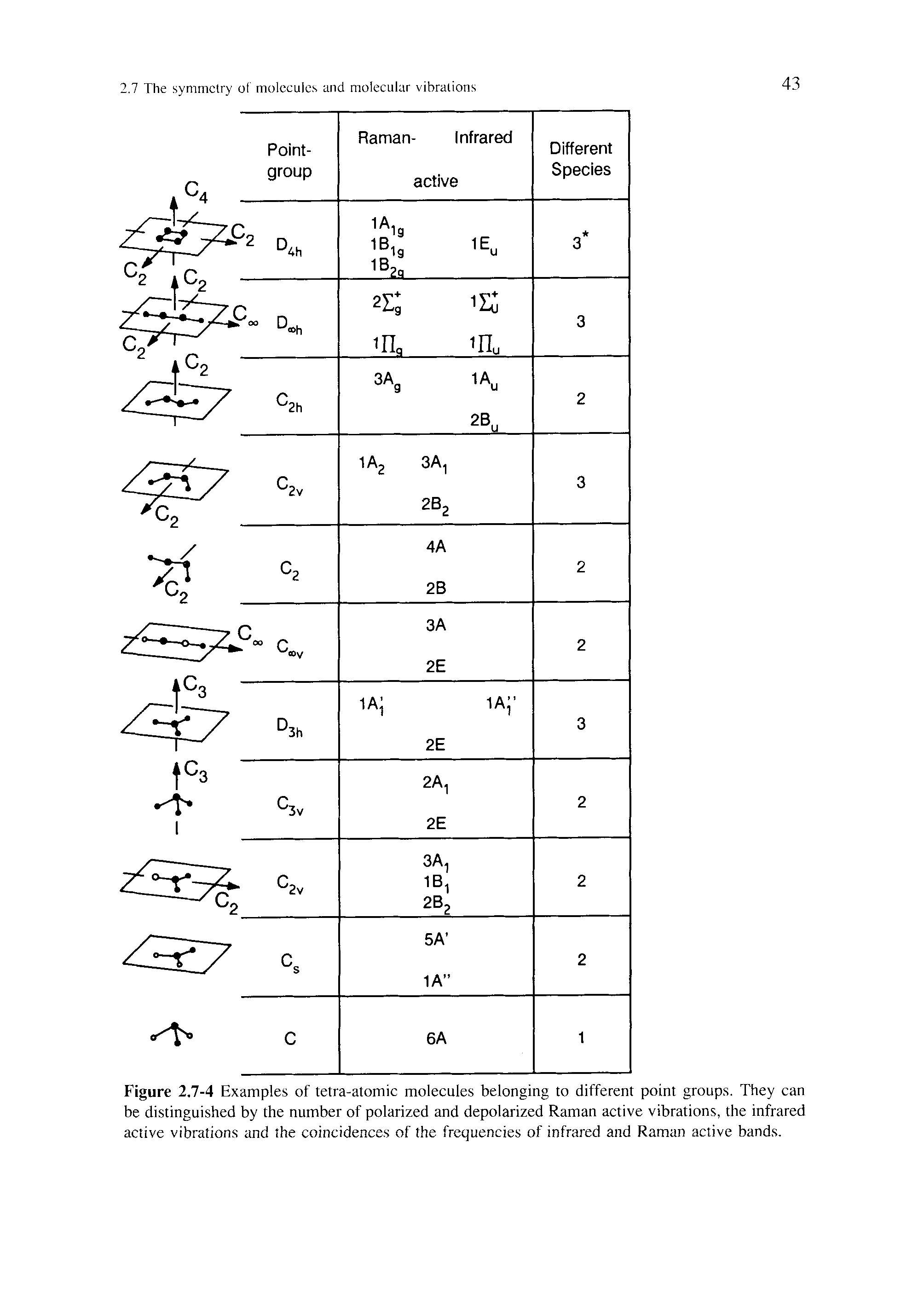 Figure 2.7-4 Examples of tetra-atomic molecules belonging to different point groups. They can be distinguished by the number of polarized and depolarized Raman active vibrations, the infrared active vibrations and the coincidences of the frequencies of infrared and Raman active bands.