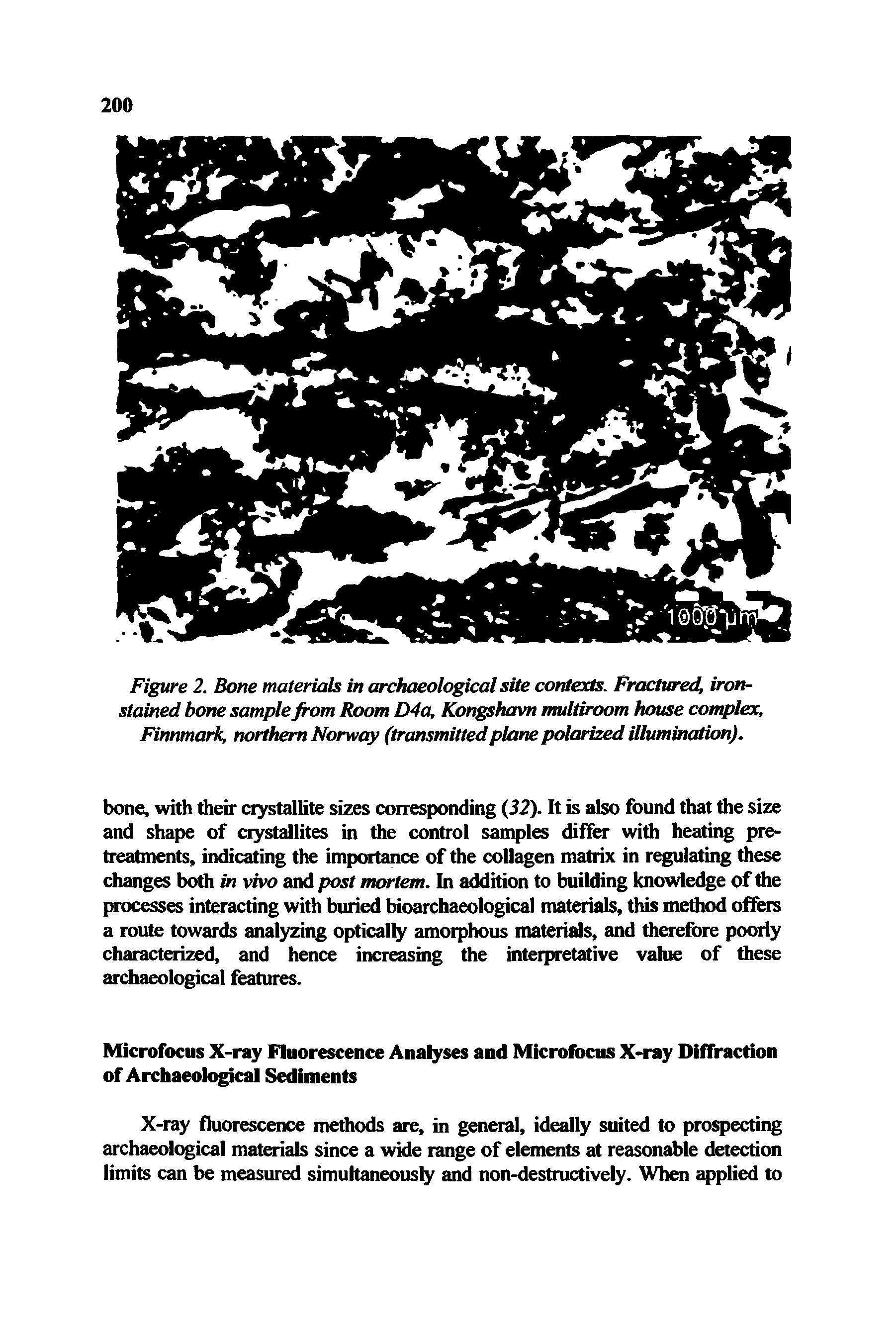 Figure 2. Bone materials in archaeological site contexts. Fractured, iron-stained bone sample from Room D4a, Kongshavn multiroom house complex, Finnmark, northern Norway (transmittedplane polarized illumination).