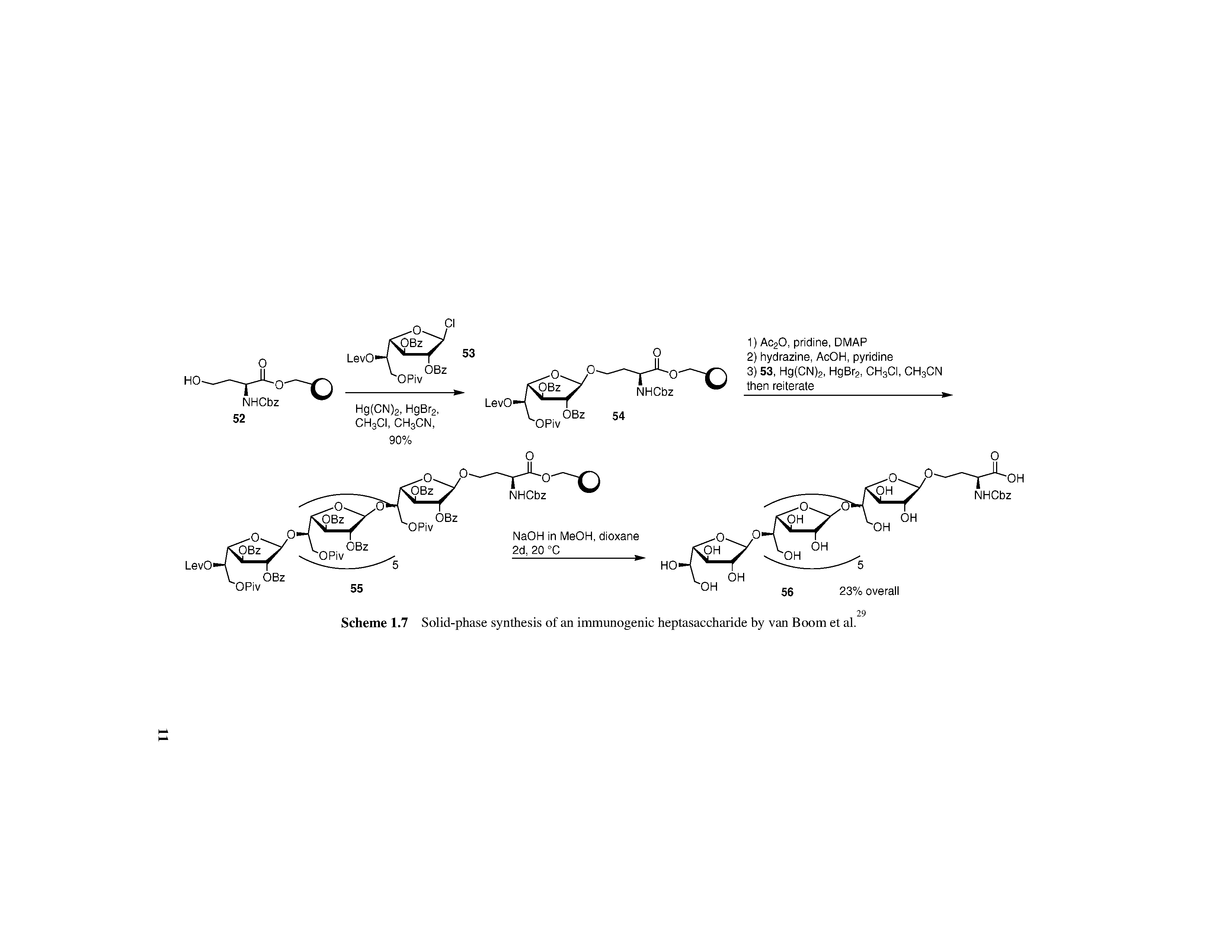 Scheme 1.7 Solid-phase synthesis of an immunogenic heptasaccharide by van Boom et al.