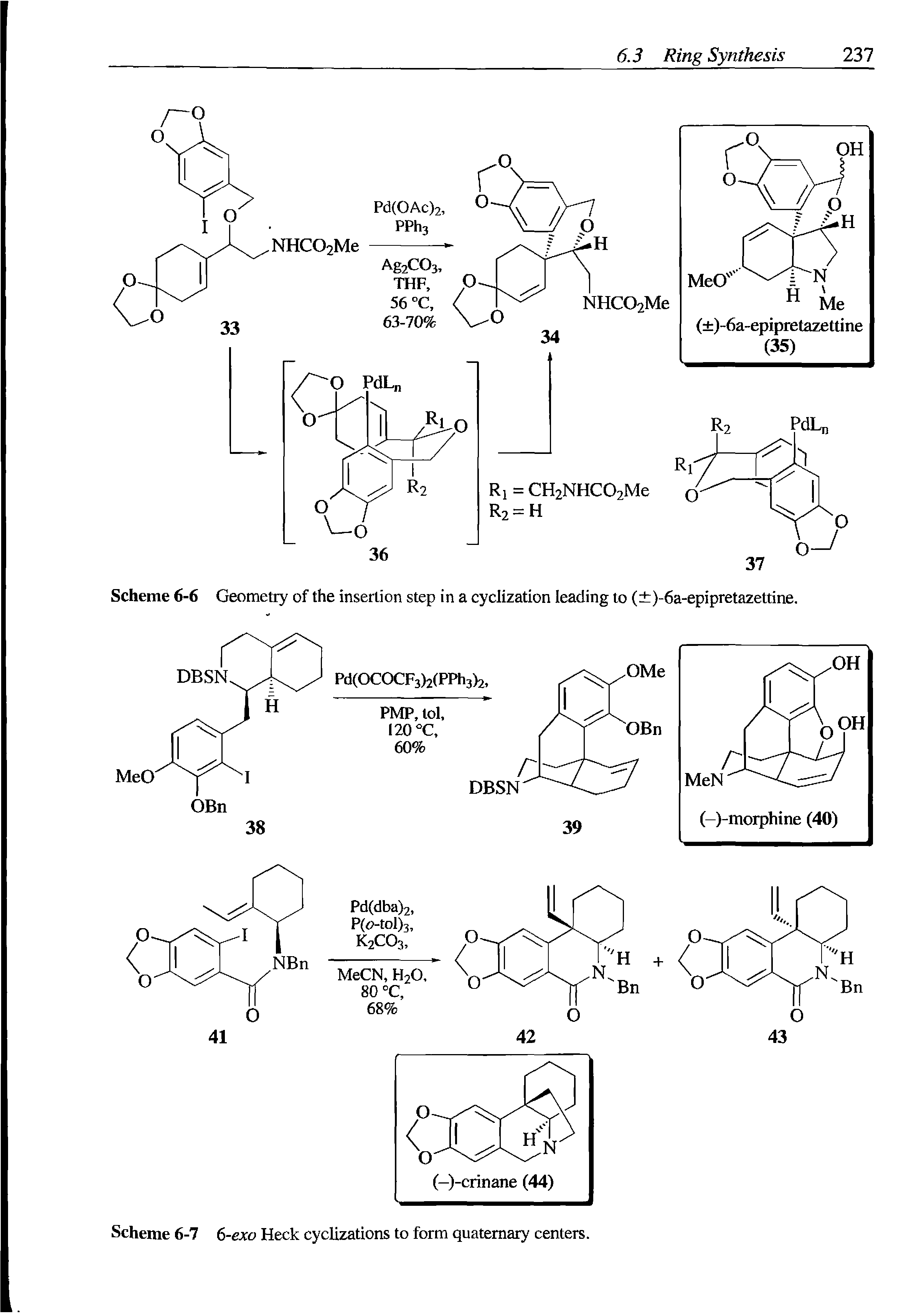 Scheme 6-6 Geometry of the insertion step in a cyclization leading to ( )-6a-epipretazettine.