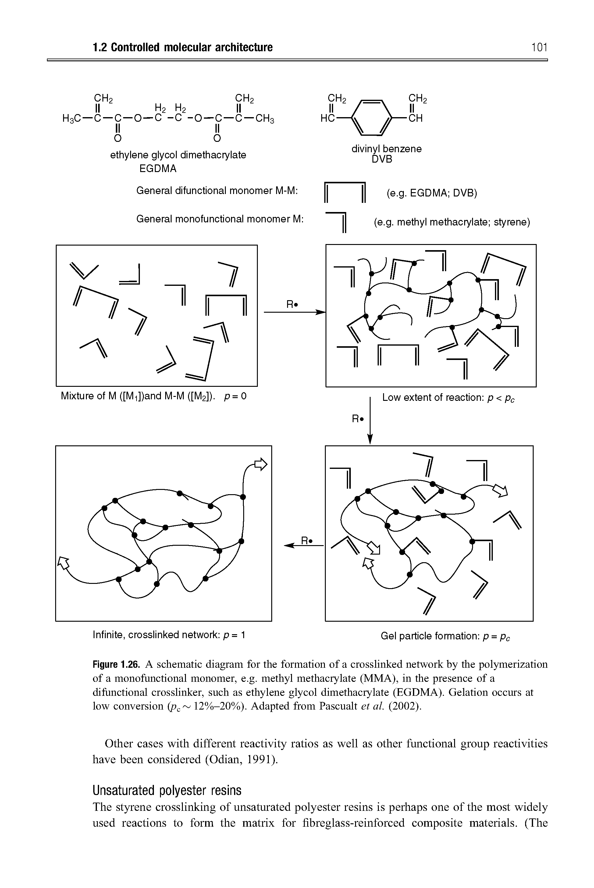 Figure 1.26. A schematic diagram for the formation of a crosslinked network by the polymerization of a monofunctional monomer, e.g. methyl methacrylate (MMA), in the presence of a difimctional crosslinker, such as ethylene glycol dimethacrylate (EGDMA). Gelation occurs at low conversion (pc 12%-20%). Adapted from Pascualt et al. (2002).