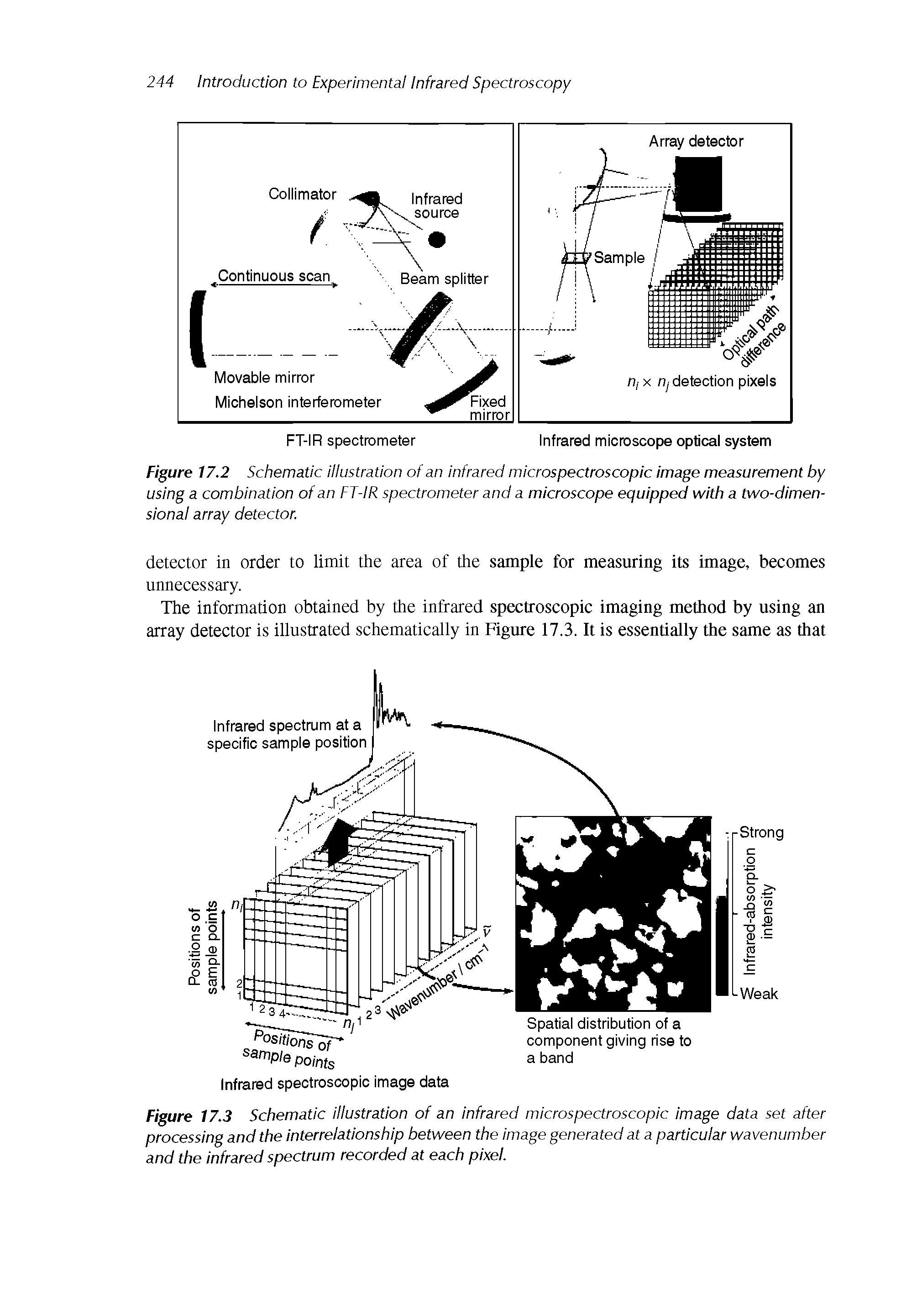 Figure 17.3 Schematic illustration of an infrared microspectroscopic image data set after processing and the interrelationship between the image generated at a particular wavenumber and the infrared spectrum recorded at each pixel.