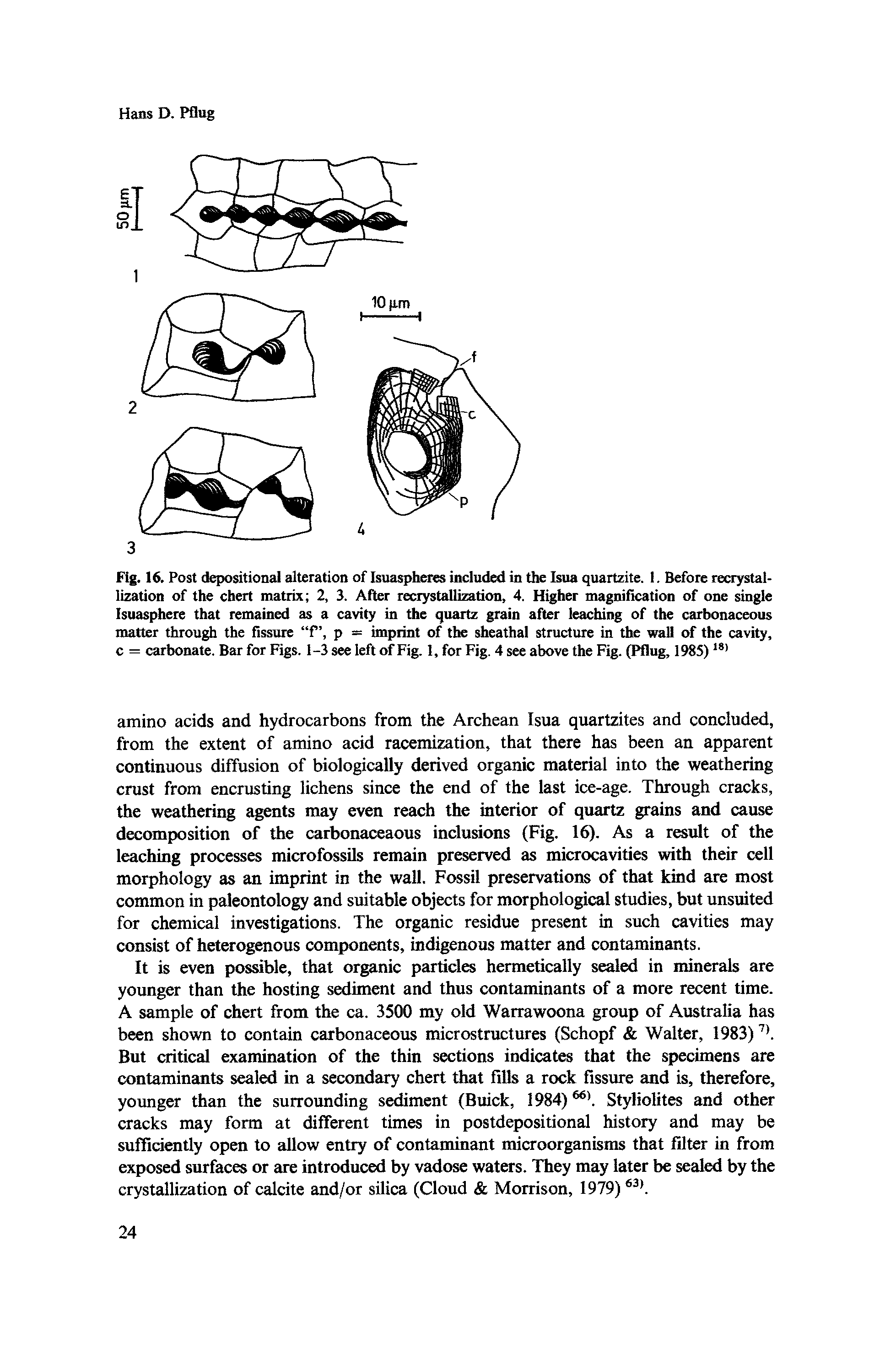 Fig. 16. Post depositional alteration of Isuaspheres included in the Isua quartzite, i. Before recrystallization of the chert matrix 2, 3. After recrystallization, 4. Higher magnification of one single Isuasphere that remained as a cavity in the quartz grain after leaching of the carbonaceous matter through the fissure fp = imprint of the sheathal structure in the wall of the cavity, c = carbonate. Bar for Figs. 1-3 see left of Fig. 1, for Fig. 4 see above the Fig. (Pflug, 1985)18>...