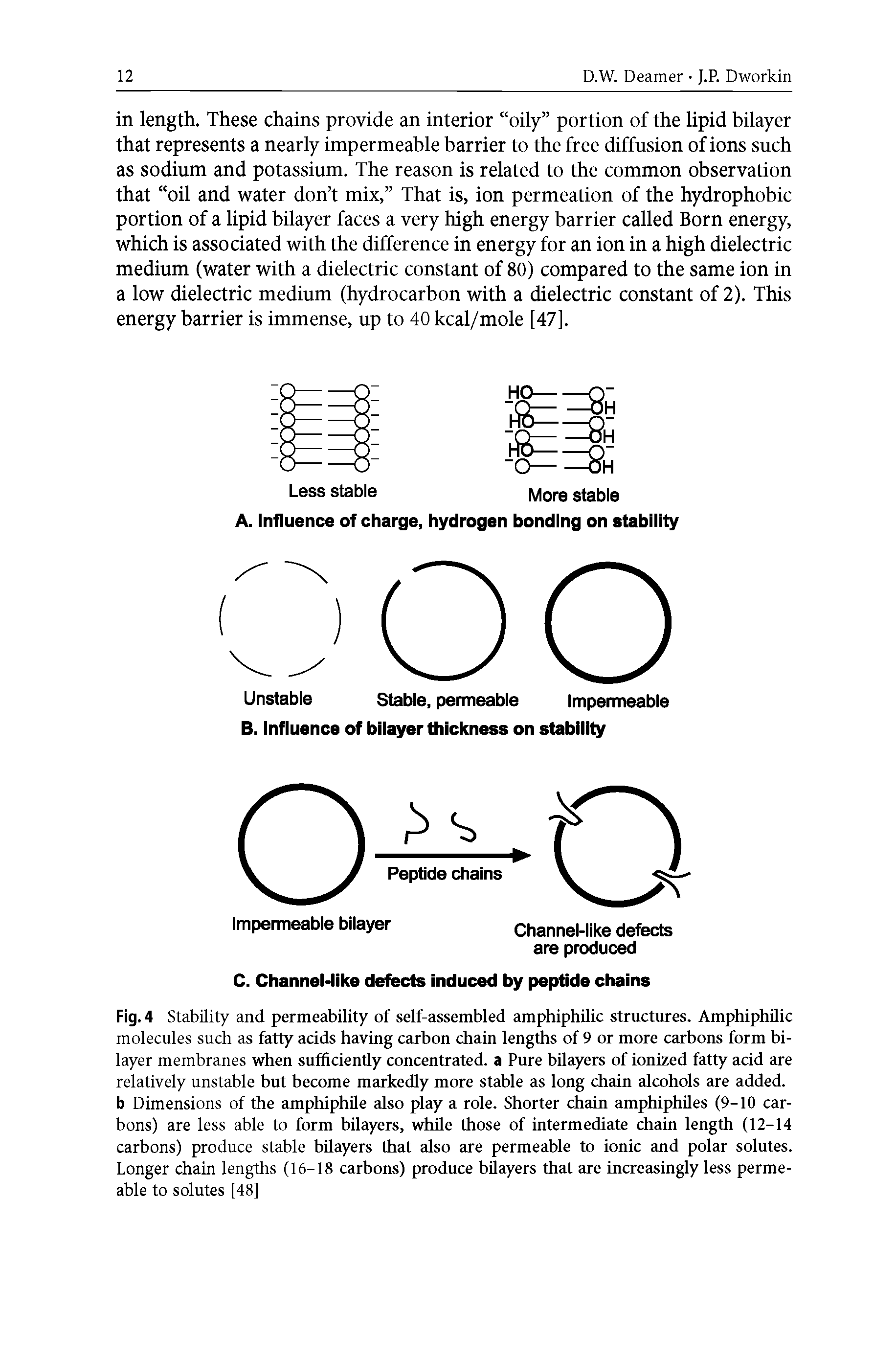 Fig. 4 Stability and permeability of self-assembled amphiphilic structures. Amphiphilic molecules such as fatty acids having carbon chain lengths of 9 or more carbons form bilayer membranes when sufficiently concentrated, a Pure bilayers of ionized fatty acid are relatively unstable but become markedly more stable as long chain alcohols are added, b Dimensions of the amphiphile also play a role. Shorter chain amphiphiles (9-10 carbons) are less able to form bilayers, while those of intermediate chain length (12-14 carbons) produce stable bilayers that also are permeable to ionic and polar solutes. Longer chain lengths (16-18 carbons) produce bilayers that are increasingly less permeable to solutes [48]...