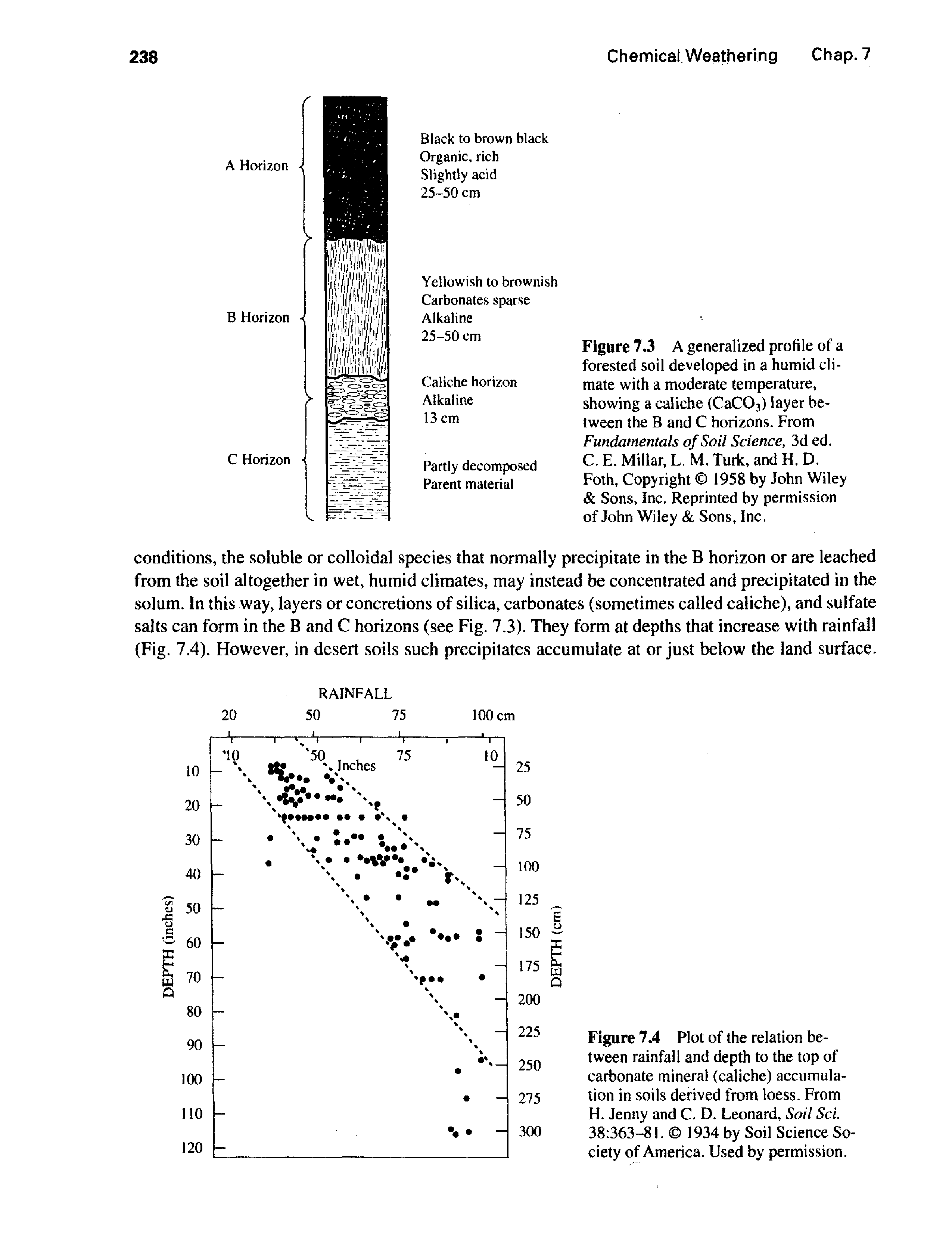 Figure 7.3 A generalized profile of a forested soil developed in a humid climate with a moderate temperature, showing a caliche (CaCOj) layer between the B and C horizons. From Fundamentals of Soil Science, 3d ed.