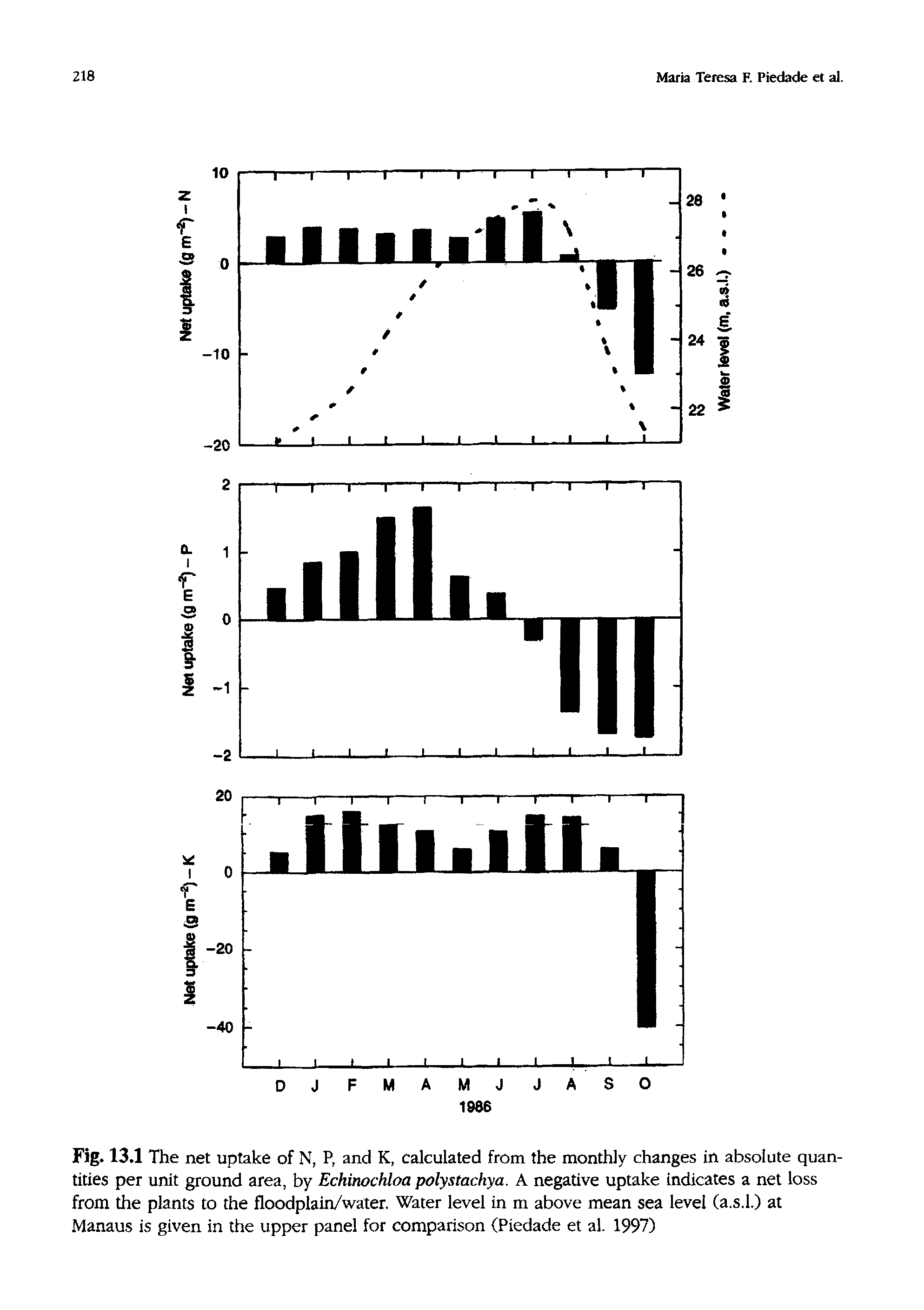 Fig. 13.1 The net uptake of N, P, and K, calculated from the monthly changes in absolute quantities per unit ground area, by Echinochloa polystachya. A negative uptake indicates a net loss from the plants to the floodplain/water. Water level in m above mean sea level (a.s.l.) at Manaus is given in the upper panel for comparison (Piedade et al. 1997)...