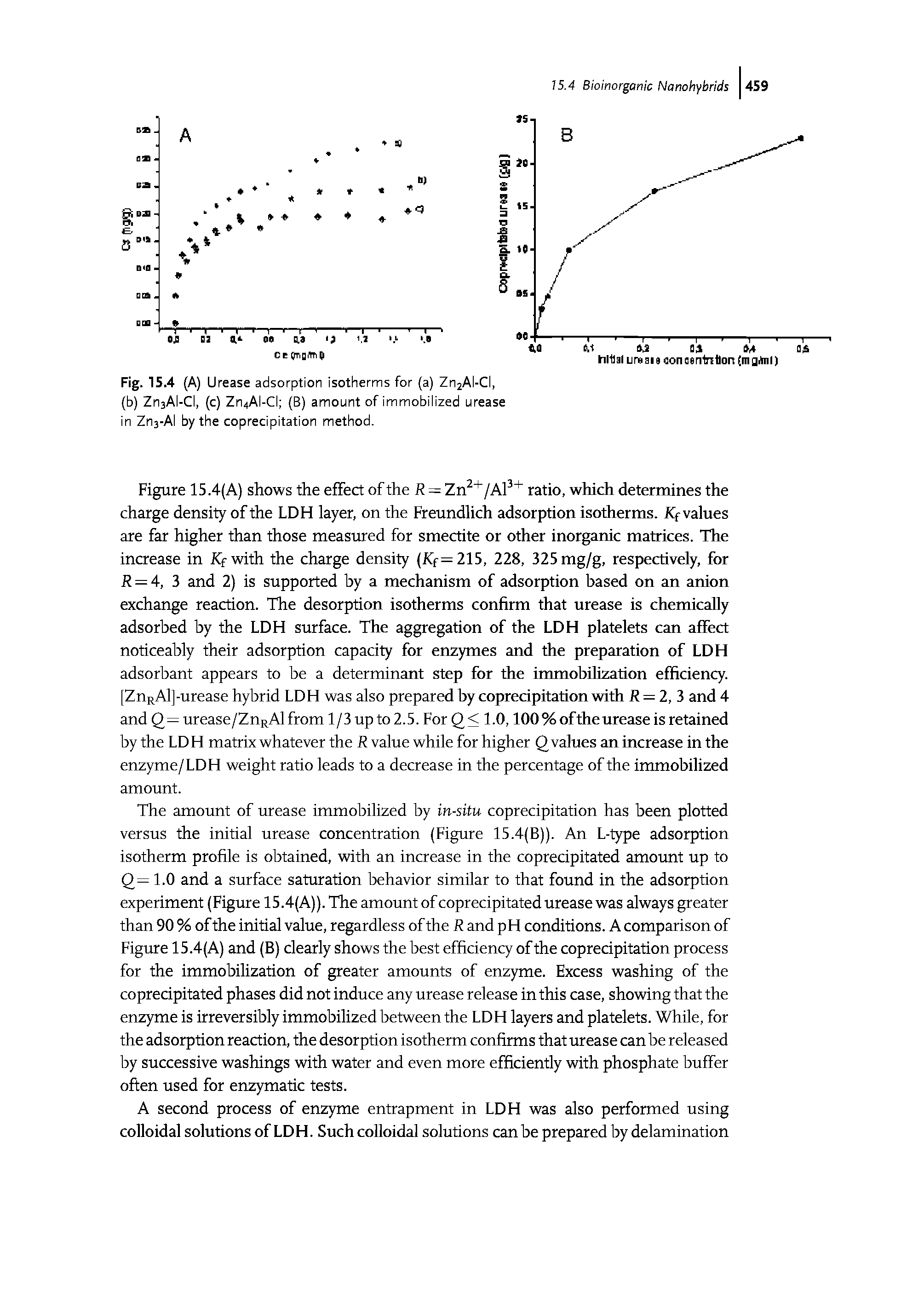Figure 15.4(A) shows the effect of the R = Zn2+/Al3+ ratio, which determines the charge density of the LDH layer, on the Freundlich adsorption isotherms. K values are far higher than those measured for smectite or other inorganic matrices. The increase in Kf with the charge density (Kf= 215, 228, 325mg/g, respectively, for R = 4, 3 and 2) is supported by a mechanism of adsorption based on an anion exchange reaction. The desorption isotherms confirm that urease is chemically adsorbed by the LDH surface. The aggregation of the LDH platelets can affect noticeably their adsorption capacity for enzymes and the preparation of LDH adsorbant appears to be a determinant step for the immobilization efficiency. [ZnRAl]-urease hybrid LDH was also prepared by coprecipitation with R = 2, 3 and 4 and Q= urease/ZnRAl from 1 /3 up to 2.5. For Q < 1.0,100 % of the urease is retained by the LDH matrix whatever the R value while for higher Q values an increase in the enzyme/LDH weight ratio leads to a decrease in the percentage of the immobilized amount.
