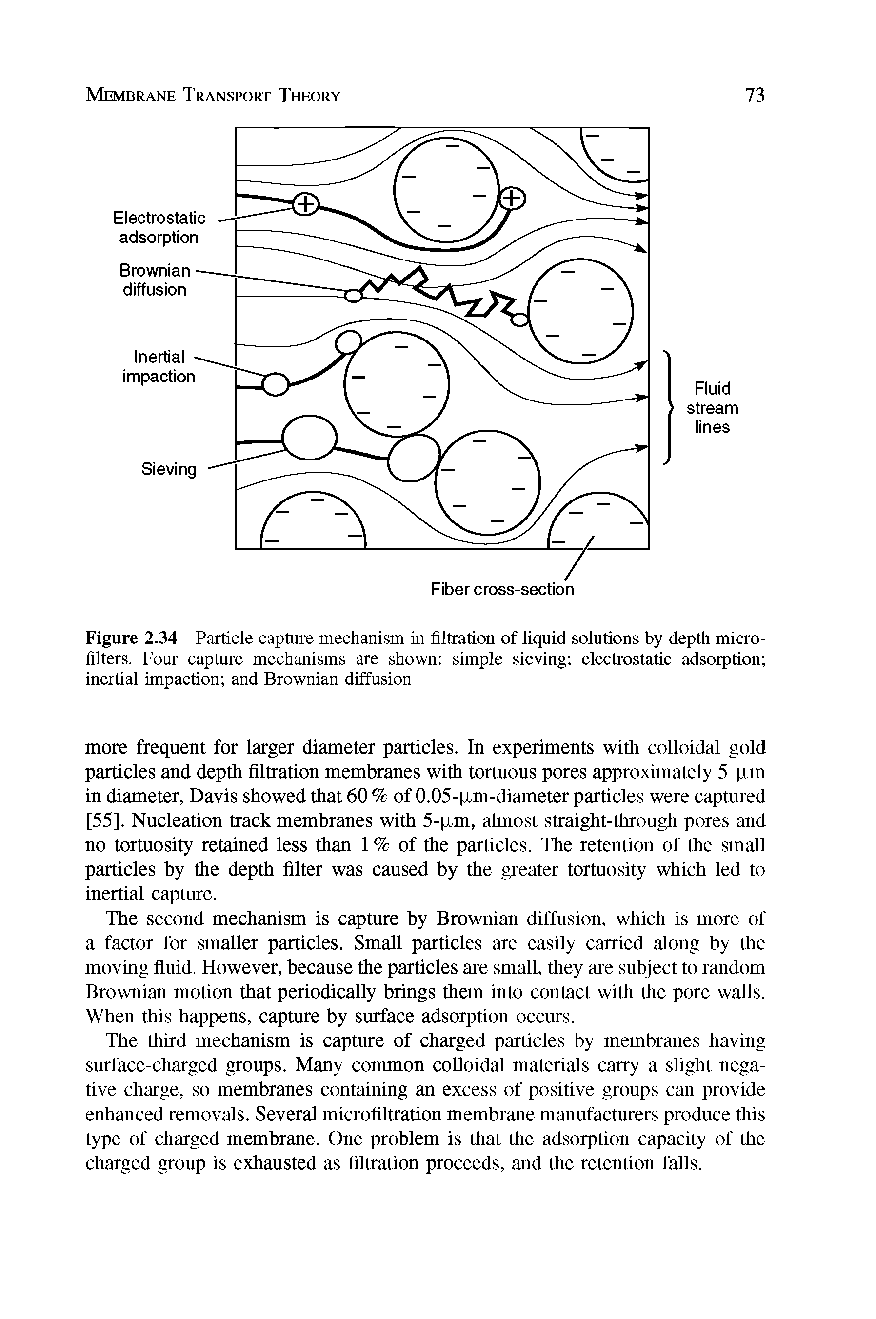 Figure 2.34 Particle capture mechanism in filtration of liquid solutions by depth microfilters. Four capture mechanisms are shown simple sieving electrostatic adsorption inertial impaction and Brownian diffusion...