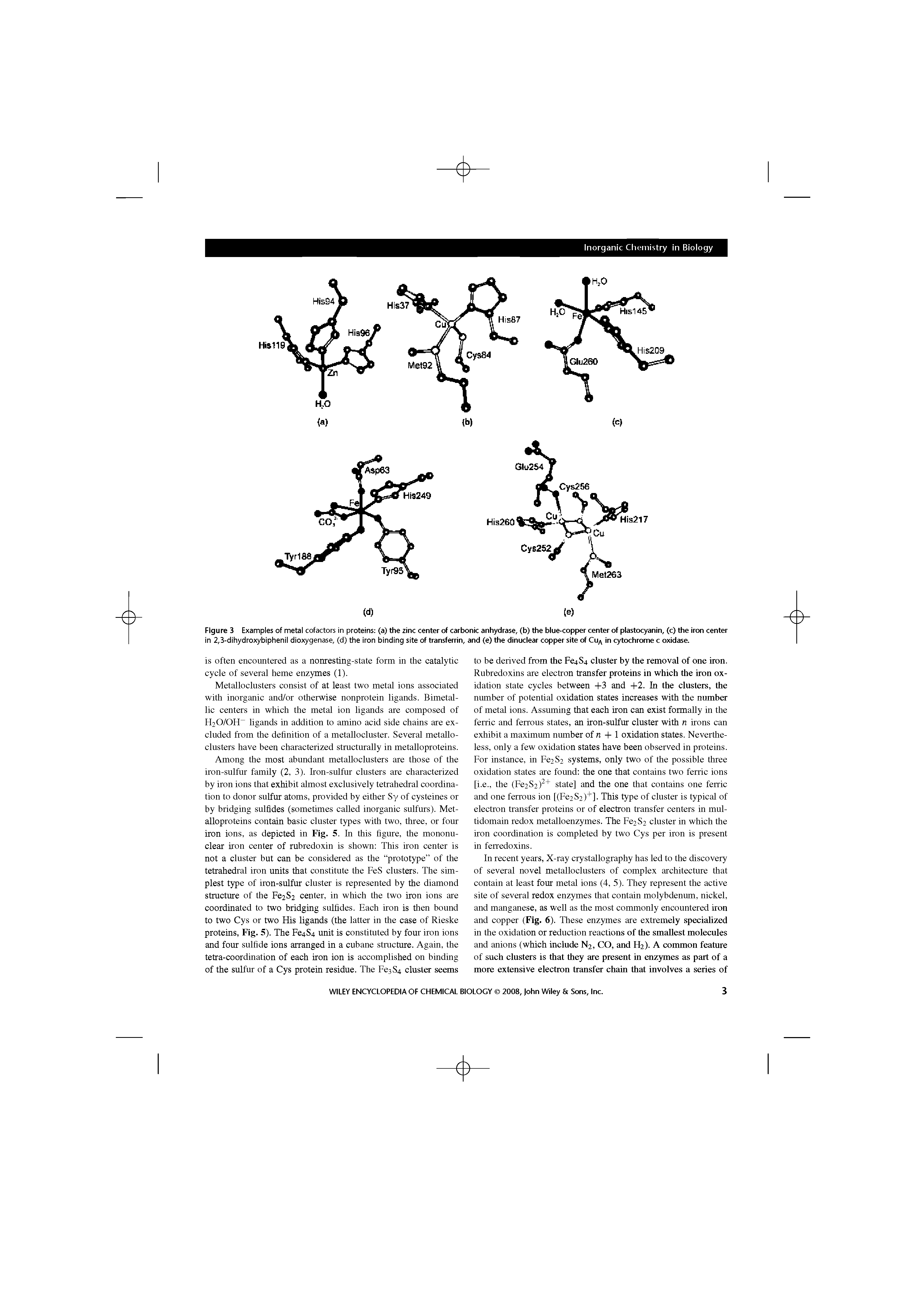 Figure 3 Examples of metal cofactors in proteins (a) the zinc center of carbonic anhydrase, (b) the blue-copper center of plastocyanin, (c) the iron center in 2,3-dihydroxybiphenil dioxygenase, (d) the iron binding site of transferrin, and (e) the dinuclear copper site of Cu/ in cytochrome c oxidase.