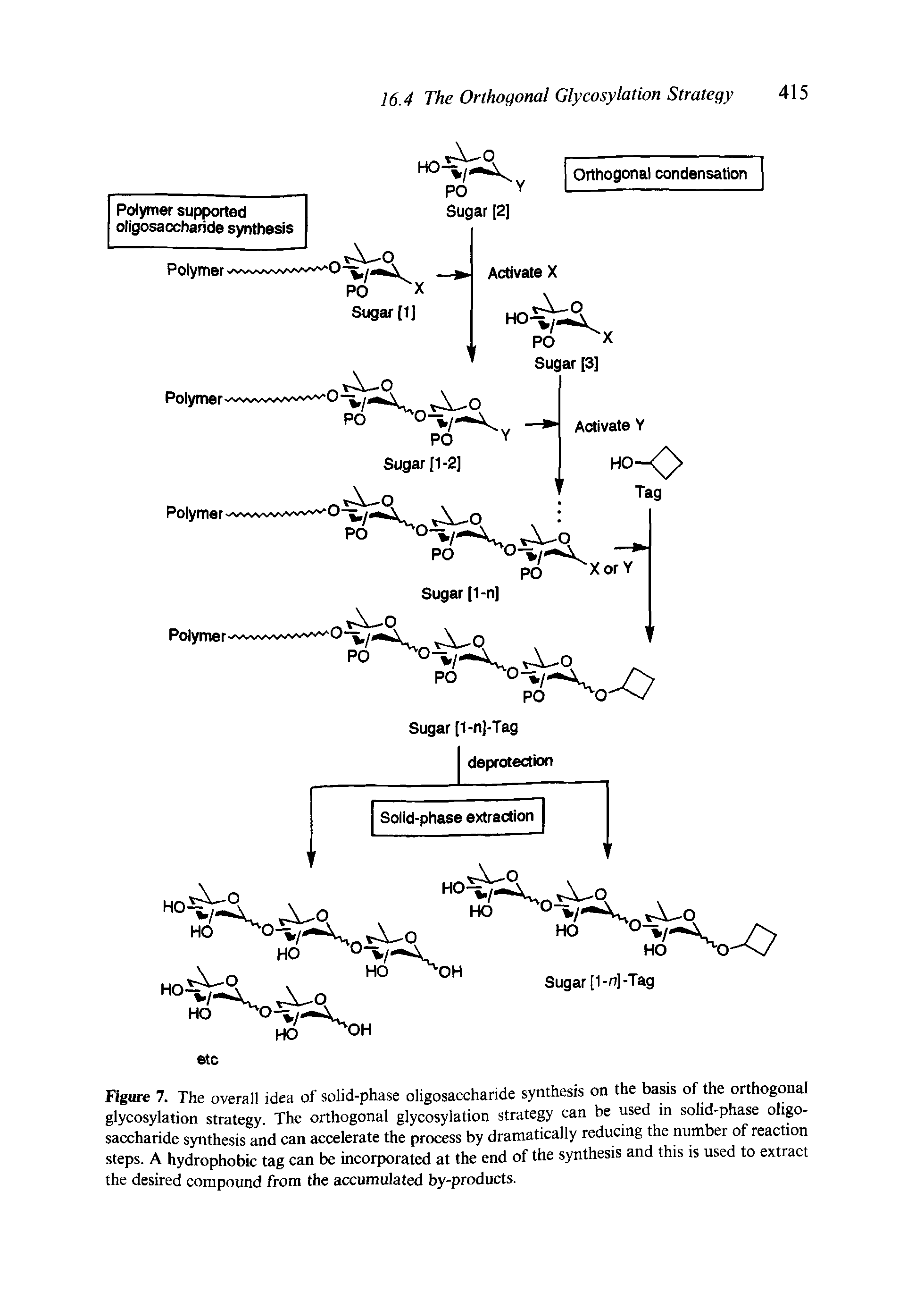 Figure 7. The overall idea of solid-phase oligosaccharide synthesis on the basis of the orthogonal glycosylation strategy. The orthogonal glycosylation strategy can be used m solid-phase olip-saccharide synthesis and can accelerate the process by dramatically reducing the number of reaction steps. A hydrophobic tag can be incorporated at the end of the synthesis and this is used to extract the desired compound from the accumulated by-products.