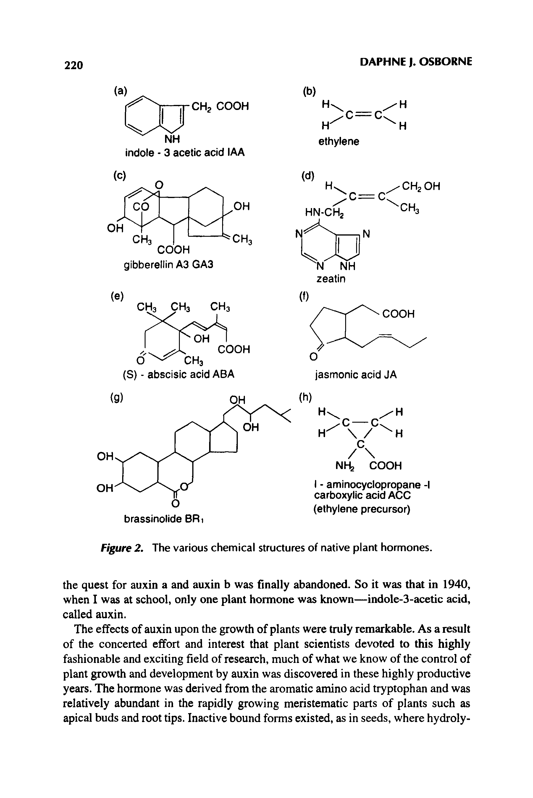 Figure 2. The various chemical structures of native plant hormones.