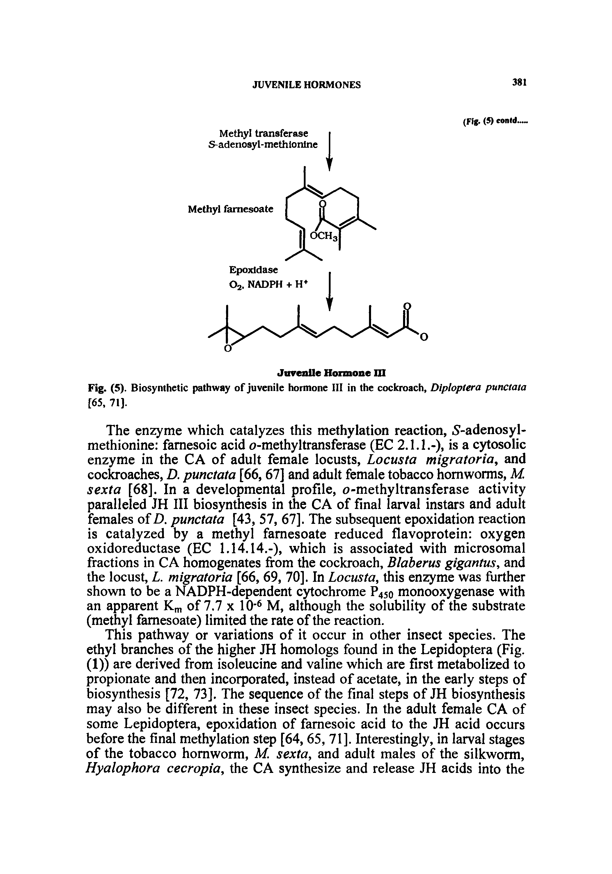 Fig. (5). Biosynthetic pathway of juvenile hormone III in the cockroach, Diploptera punctata [65, 71].