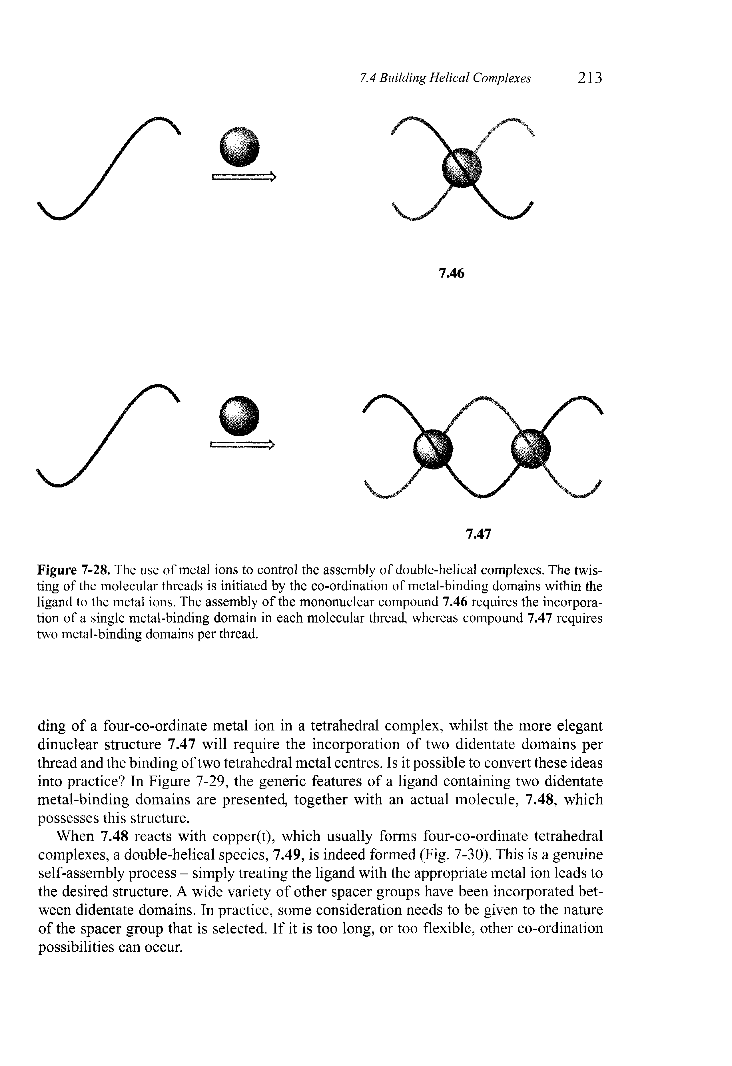 Figure 7-28. The use of metal ions to control the assembly of double-helical complexes. The twisting of the molecular threads is initiated by the co-ordination of metal-binding domains within the ligand to the metal ions. The assembly of the mononuclear compound 7.46 requires the incorporation of a single metal-binding domain in each molecular thread, whereas compound 7.47 requires two metal-binding domains per thread.