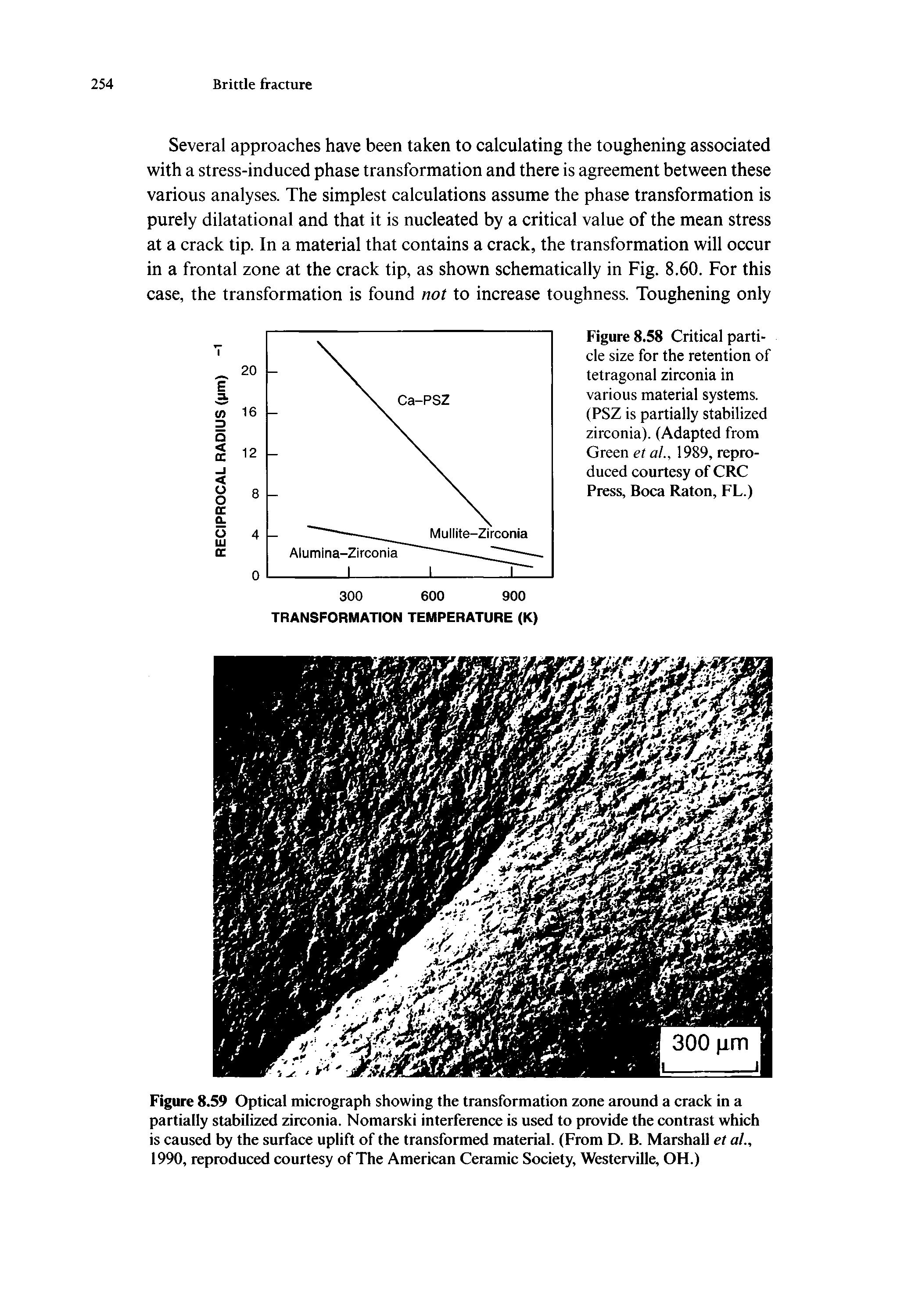 Figure 8.59 Optical micrograph showing the transformation zone around a crack in a partially stabilized zirconia. Nomarski interference is used to provide the contrast which is caused by the surface uplift of the transformed material. (From D. B. Marshall et al., 1990, reproduced courtesy of The American Ceramic Society, Westerville, OH.)...