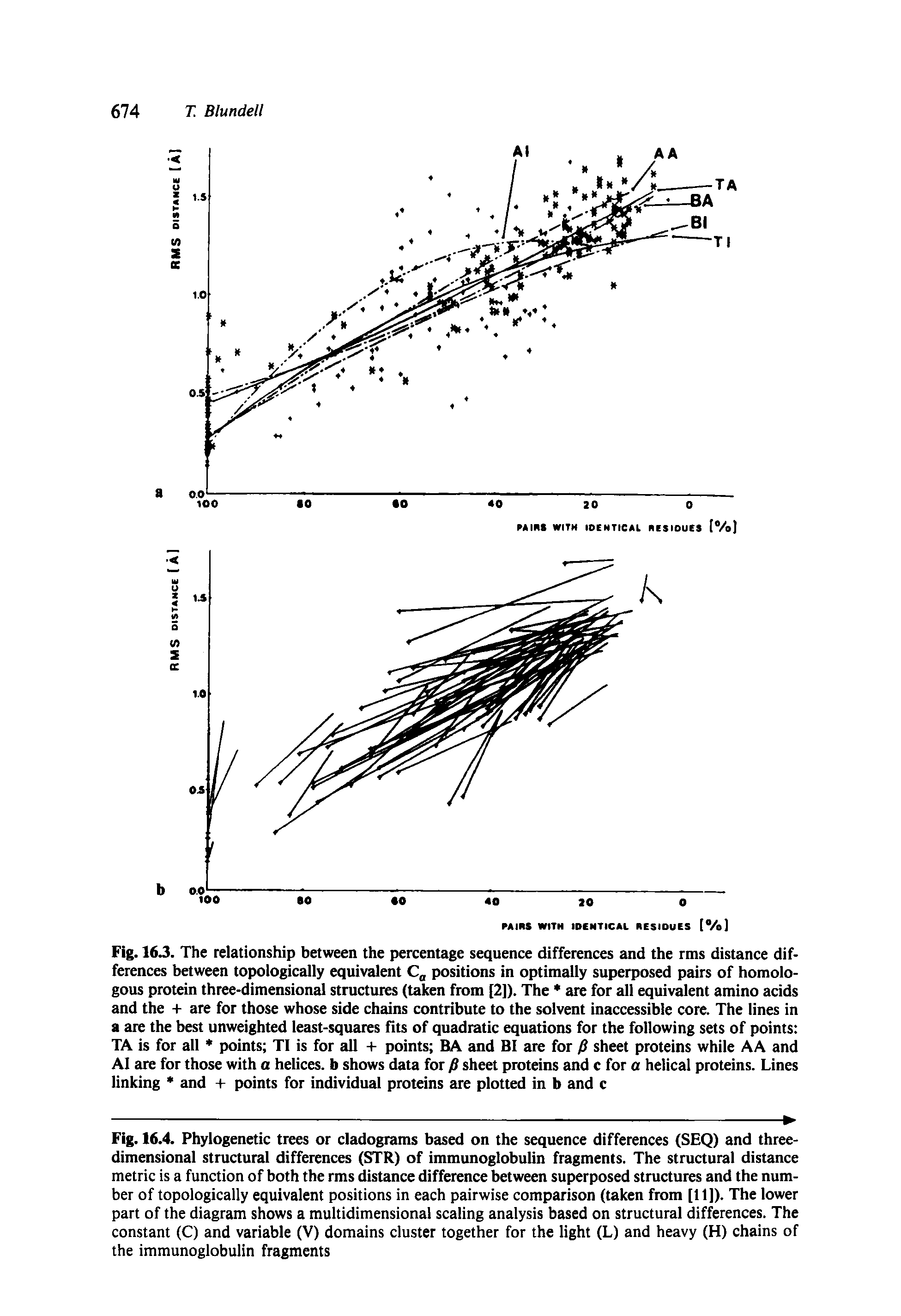 Fig. 16J. The relationship between the percentage sequence differences and the rms distance differences between topologically equivalent C positions in optimally superposed pairs of homologous protein three-dimensional structures (taken from [2]). The are for all equivalent amino acids and the + are for those whose side chains contribute to the solvent inaccessible core. The lines in a are the best unweighted least-squares fits of quadratic equations for the following sets of points TA is for all points TI is for all + points BA and BI are for P sheet proteins while AA and AI are for those with a helices, b shows data for P sheet proteins and c for a helical proteins. Lines linking and + points for individual proteins are plotted in b and c...