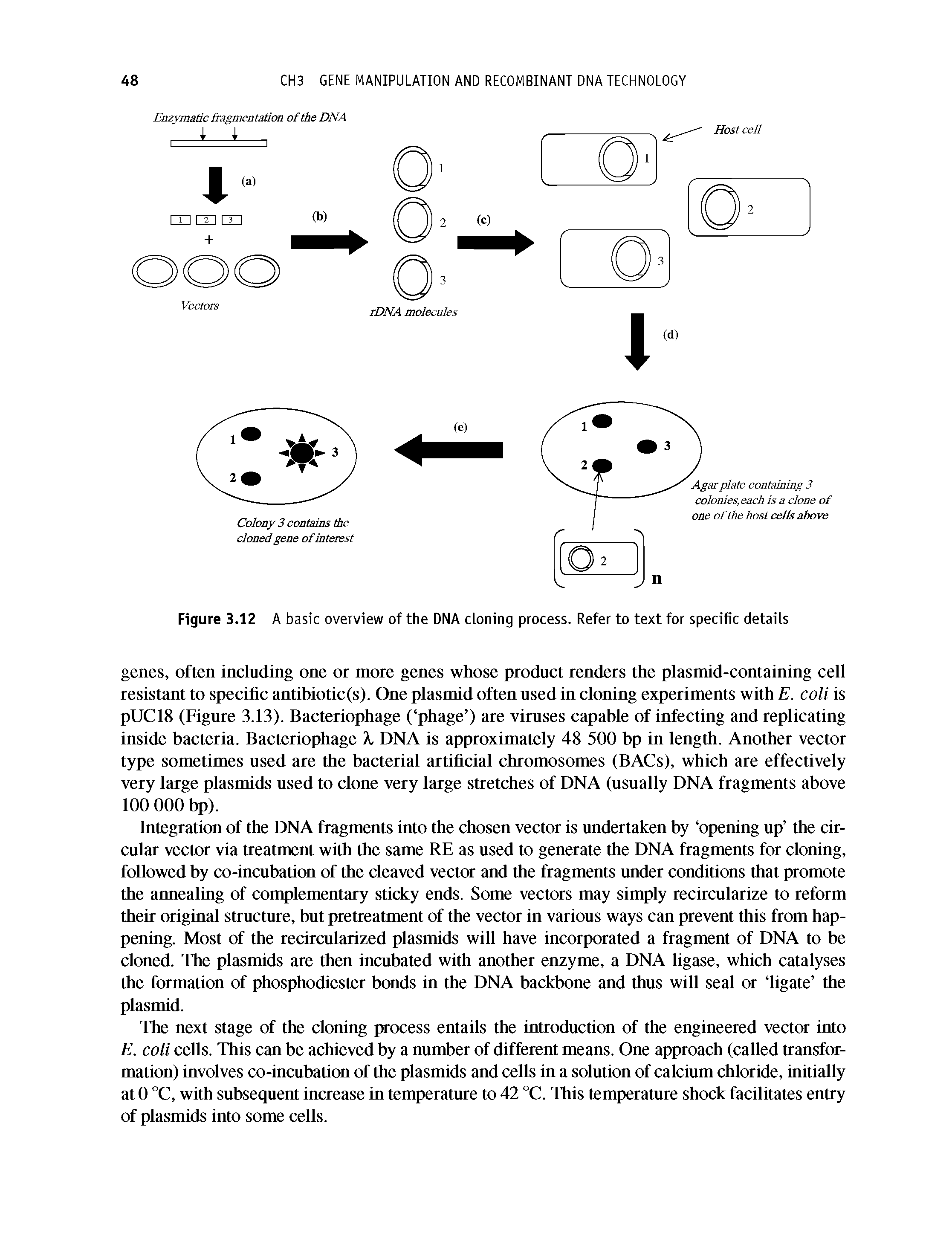 Figure 3.12 A basic overview of the DNA cloning process. Refer to text for specific details...