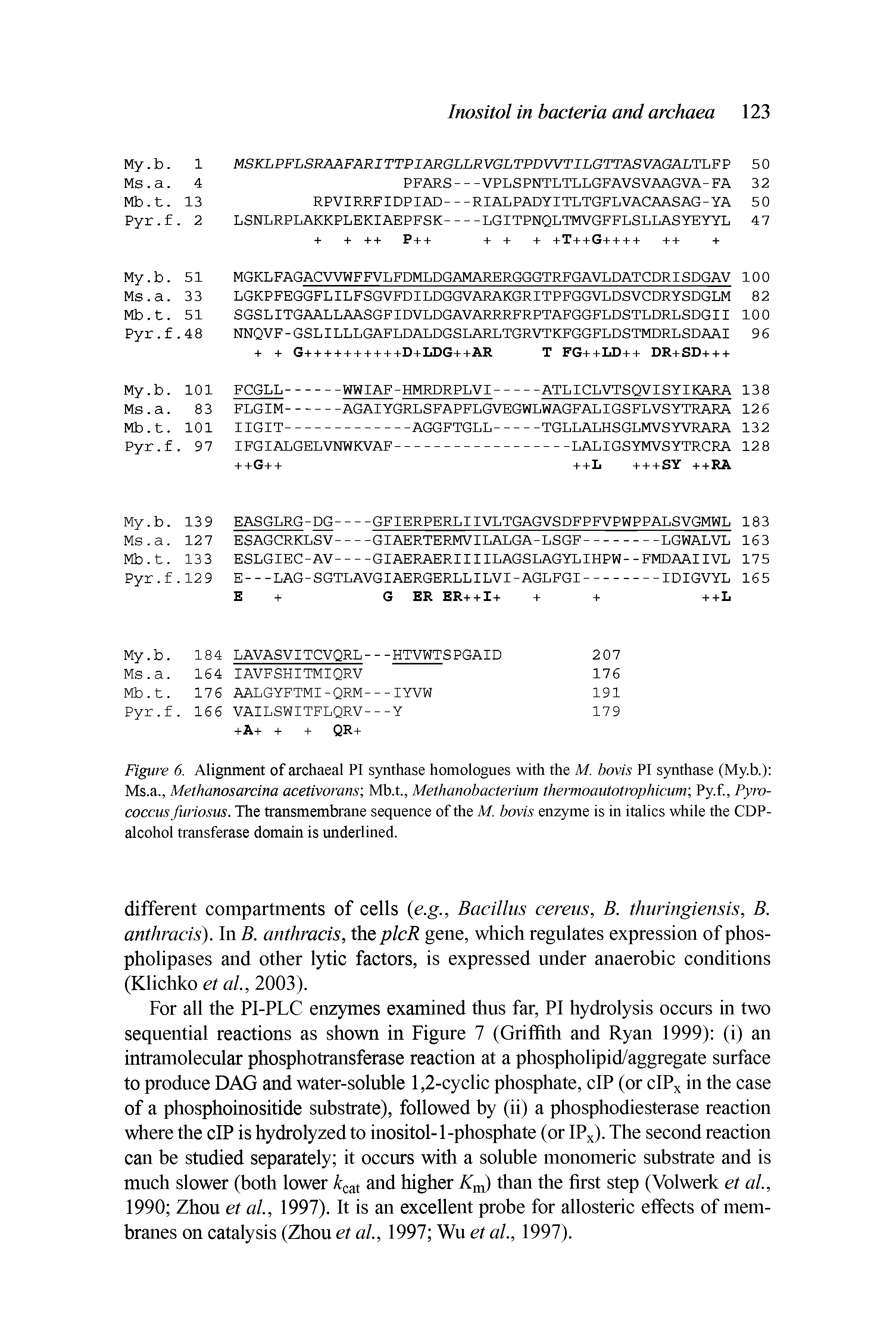Figure 6. Alignment of archaeal PI synthase homologues with the M. bovis PI synthase (My.b.) Ms.a., Methanosarcina acetivorans Mb.t., Methanobacterium thermoautotrophicum Py.f., Pyro-coccus furiosus. The transmembrane sequence of the M. bovis enzyme is in italics while the CDP-alcohol transferase domain is underlined.
