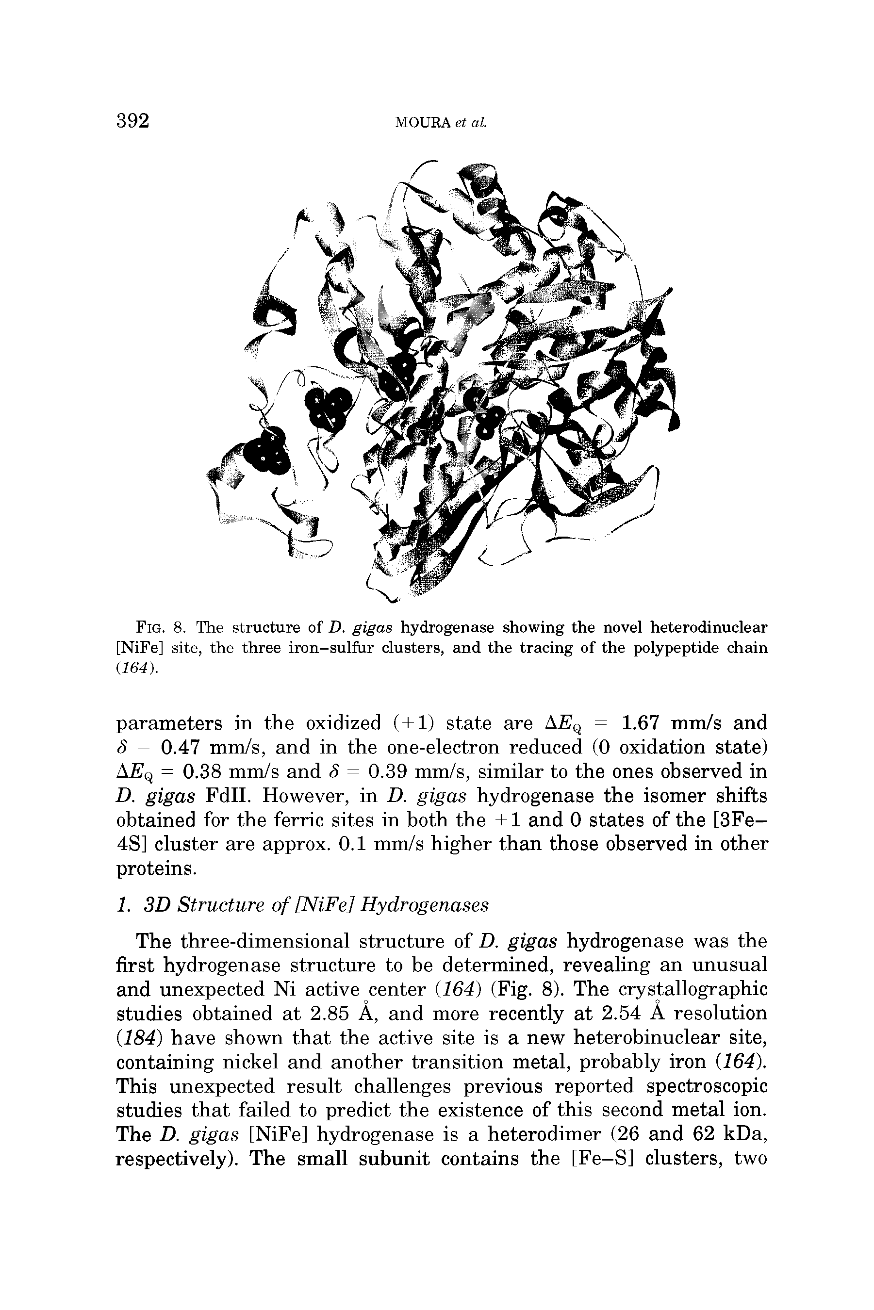 Fig. 8. The structure of D. gigas hydrogenase showing the novel heterodinuclear [NiFe] site, the three iron-sulfur clusters, and the tracing of the polypeptide chain...