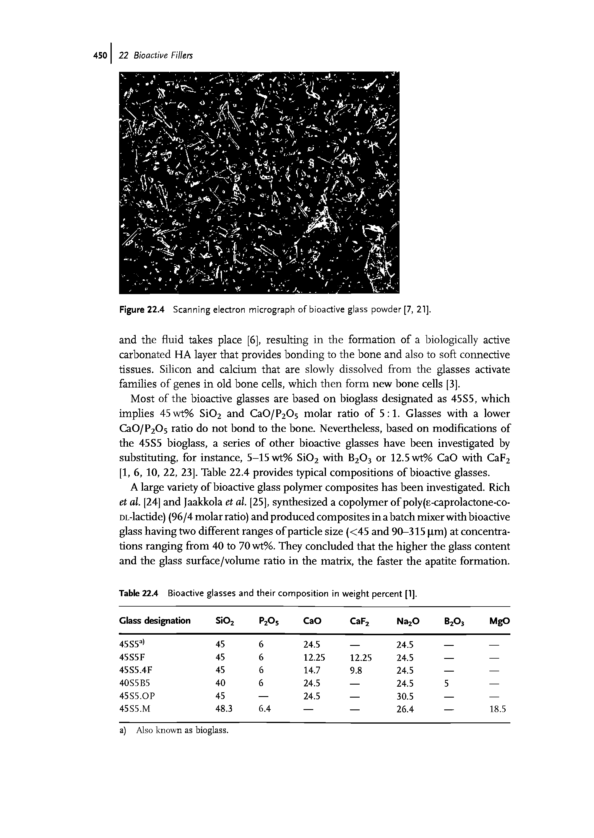 Figure 22.4 Scanning electron micrograph of bioactive glass powder [7, 21].