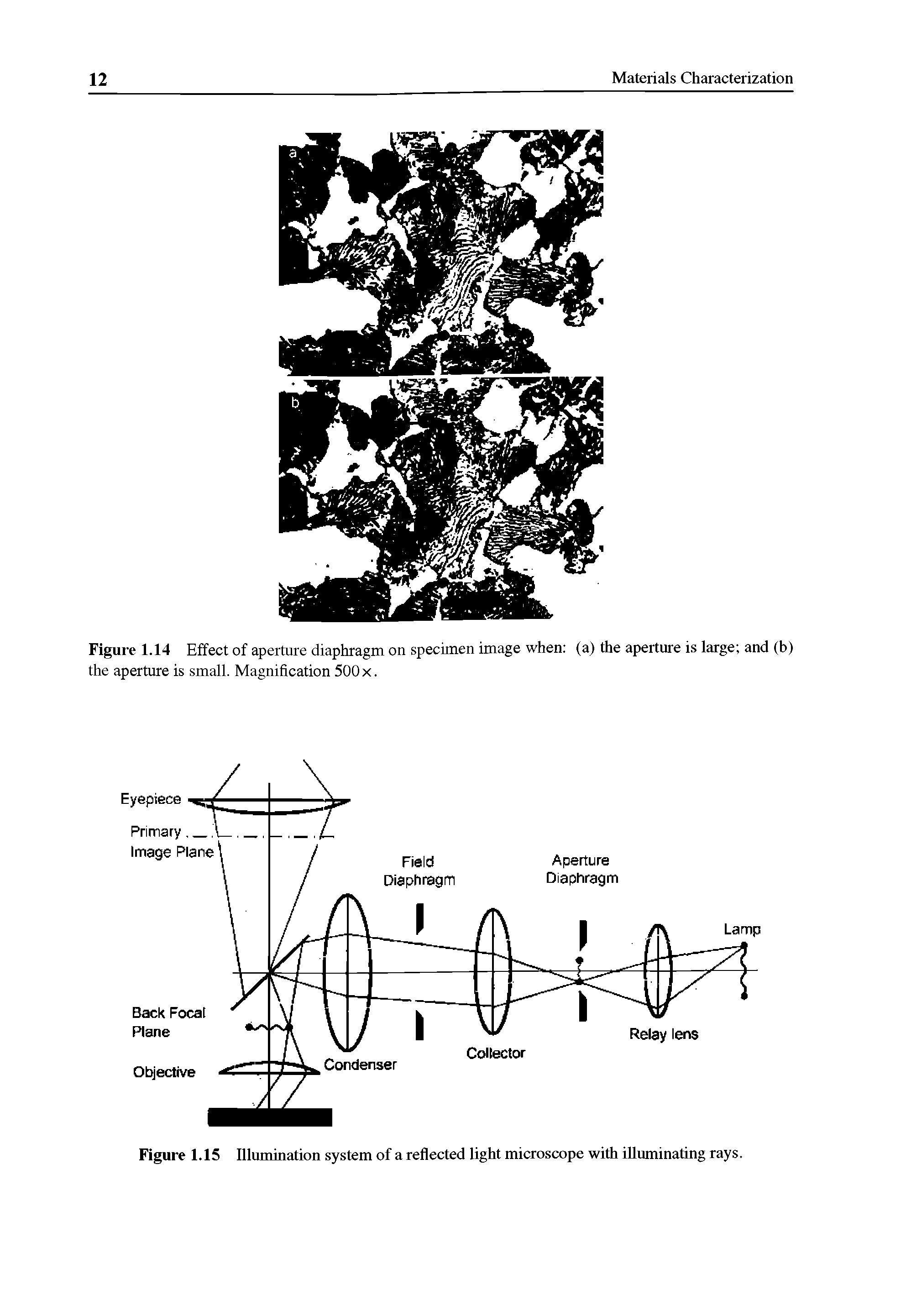 Figure 1.15 Illumination system of a reflected light microscope with illuminating rays.