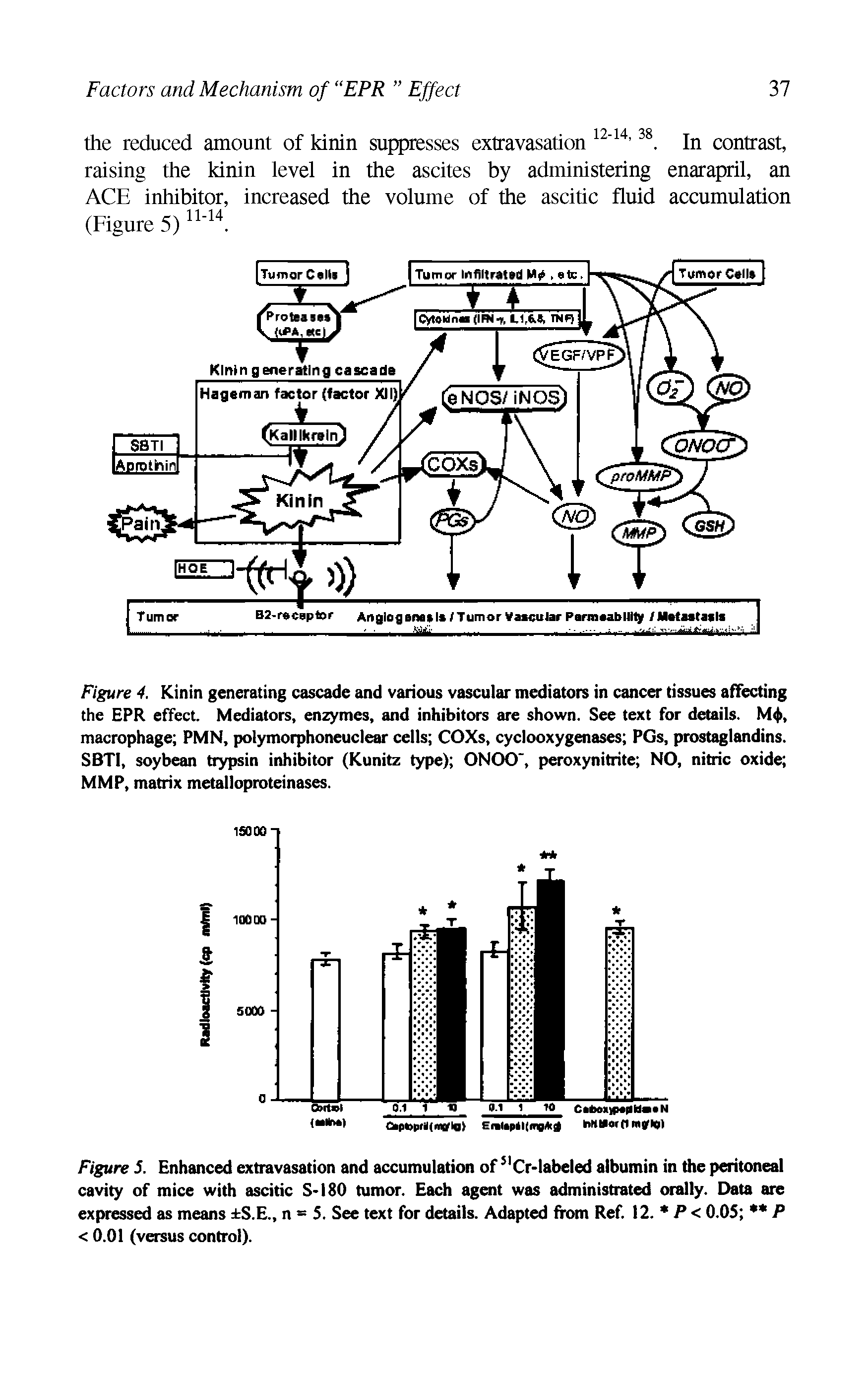 Figure 4, Kinin generating cascade and various vascular mediators in cancer tissues affecting the EPR effect. Mediators, enzymes, and inhibitors are shown. See text for details. M, macrophage PMN, polymorphoneuclear cells COXs, cyclooxygenases PCs, prostaglandins. SBTl, soybean trypsin inhibitor (Kunitz type) ONOO", peroxynitrite NO, nitric oxid MMP, matrix metalloproteinases.