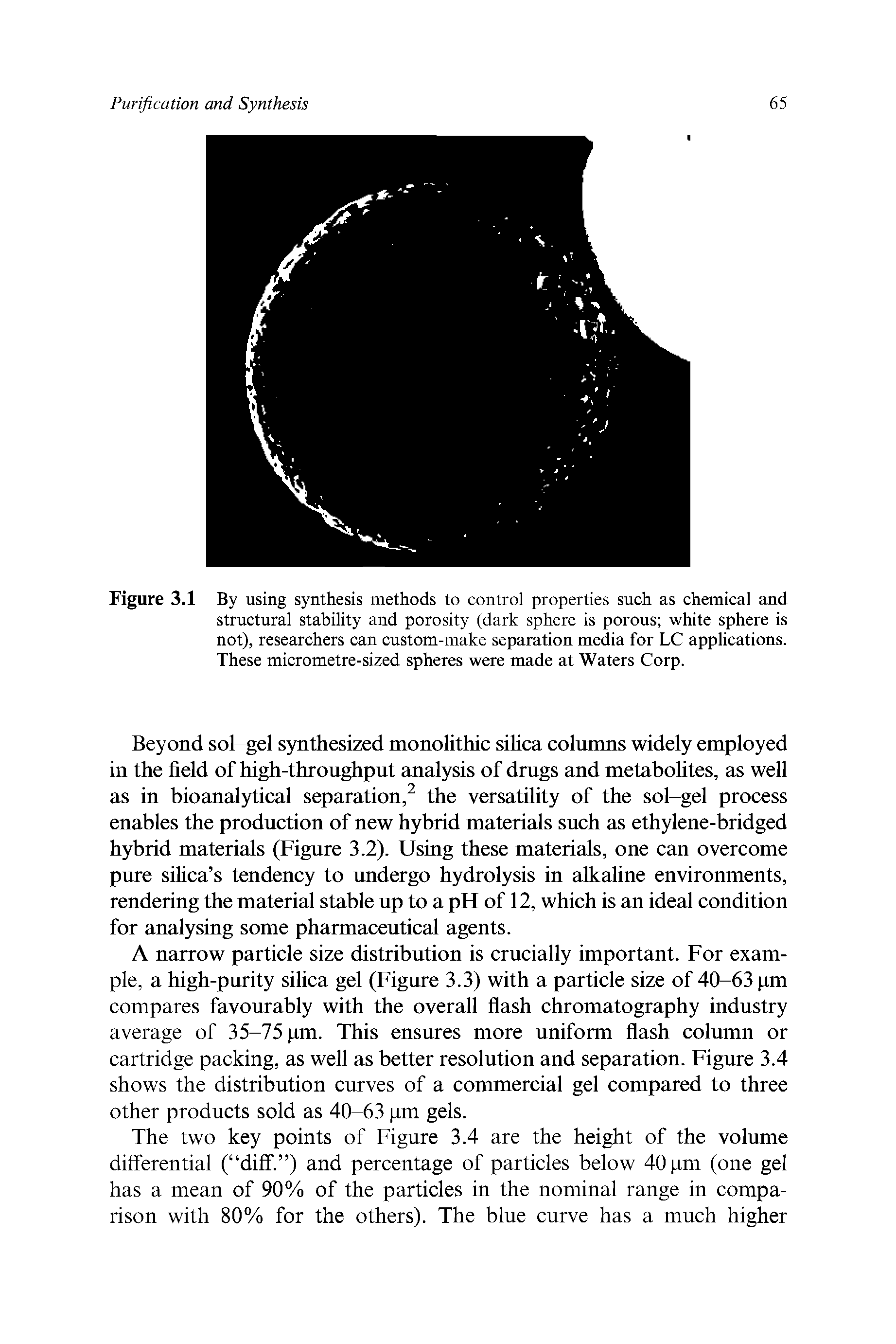 Figure 3.1 By using synthesis methods to control properties such as chemical and structural stability and porosity (dark sphere is porous white sphere is not), researchers can custom-make separation media for LC applications. These micrometre-sized spheres were made at Waters Corp.