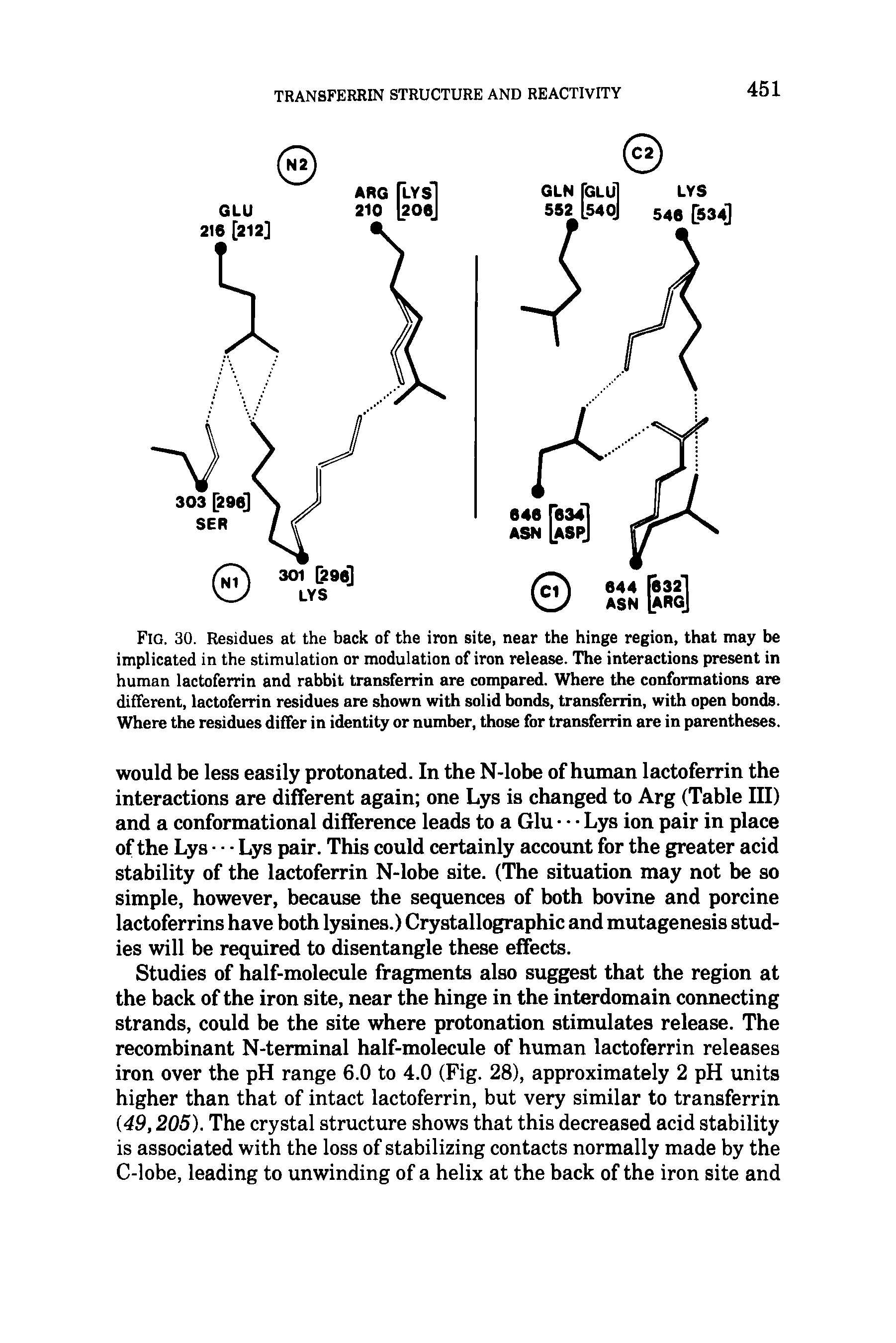 Fig. 30. Residues at the back of the iron site, near the hinge region, that may be implicated in the stimulation or modulation of iron release. The interactions present in human lactoferrin and rabbit transferrin are compared. Where the conformations are different, lactoferrin residues are shown with solid bonds, transferrin, with open bonds. Where the residues differ in identity or number, those for transferrin are in parentheses.