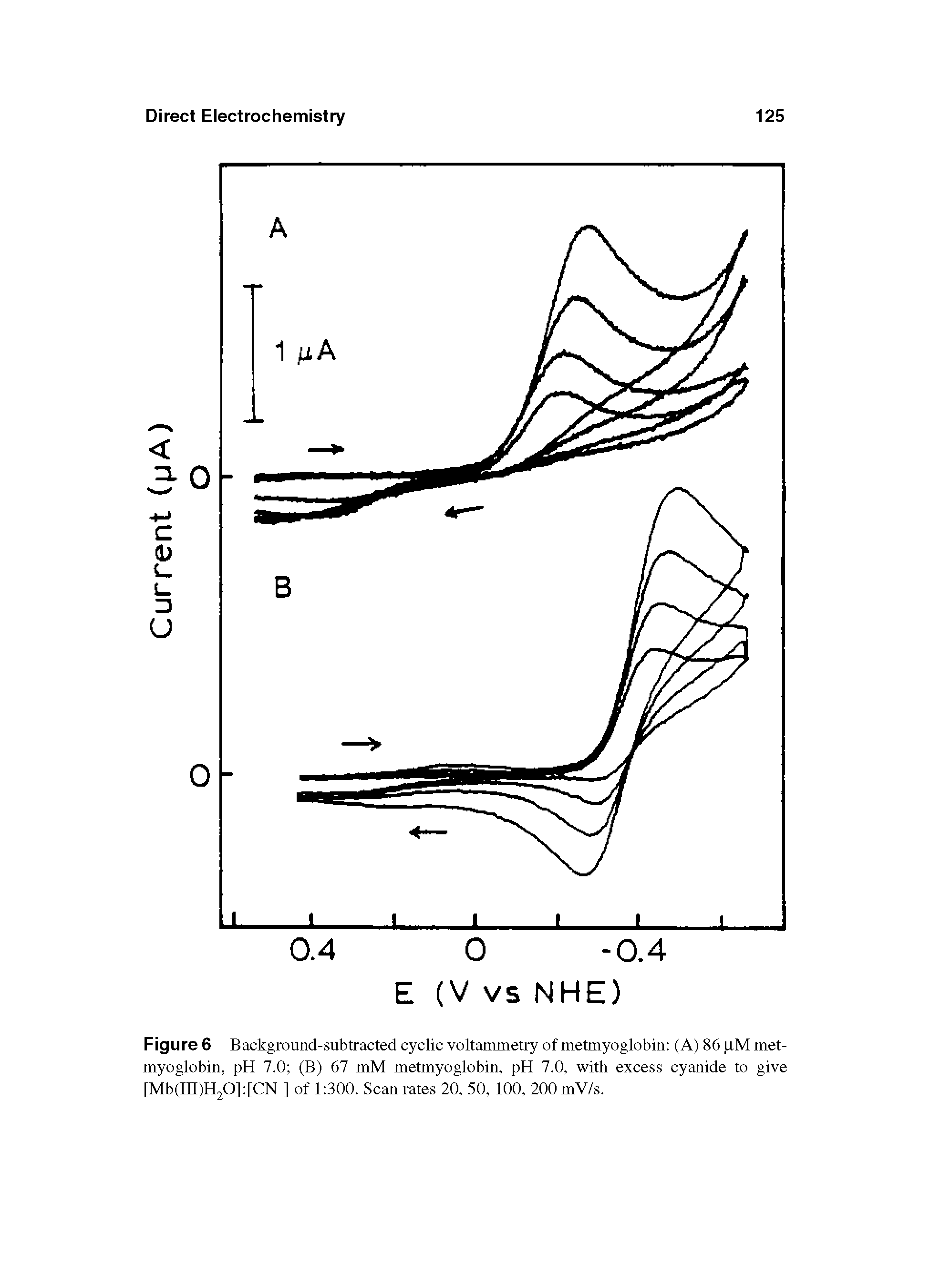 Figure 6 Background-subtracted cyclic voltammetry of metmyoglobin (A) 86 J,M met-myoglobin, pH 7.0 (B) 67 mM metmyoglobin, pH 7.0, with excess cyanide to give [Mb(III)Hp] [CN-] of 1 300. Scan rates 20, 50, 100, 200 mV/s.