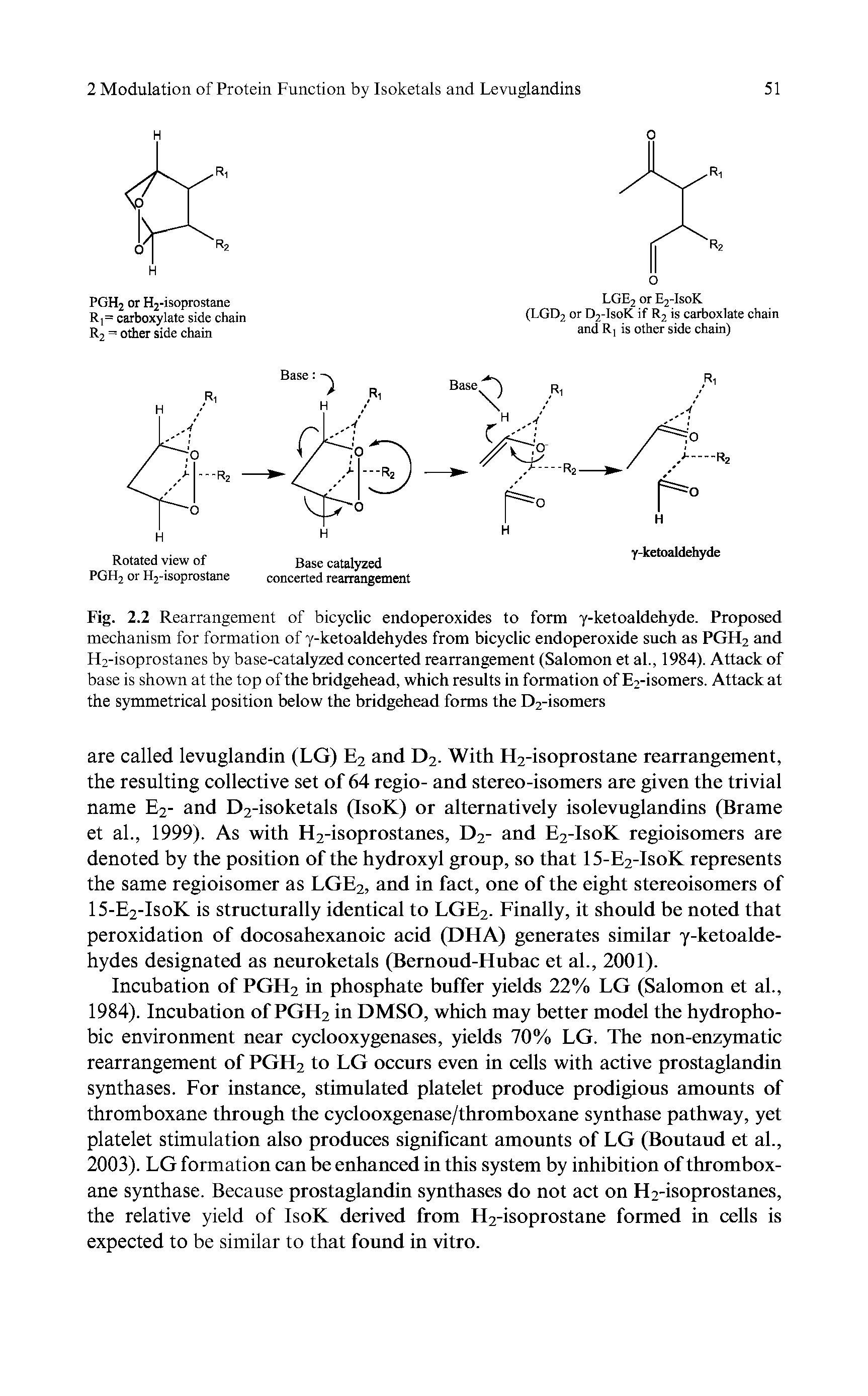 Fig. 2.2 Rearrangement of bicyclic endoperoxides to form y-ketoaldehyde. Proposed mechanism for formation of y-ketoaldehydes from bicyclic endoperoxide such as PGFI2 and H2-isoprostanes by base-catalyzed concerted rearrangement (Salomon et al., 1984). Attack of base is shown at the top of the bridgehead, which results in formation of E2-isomers. Attack at the symmetrical position below the bridgehead forms the D2-isomers...