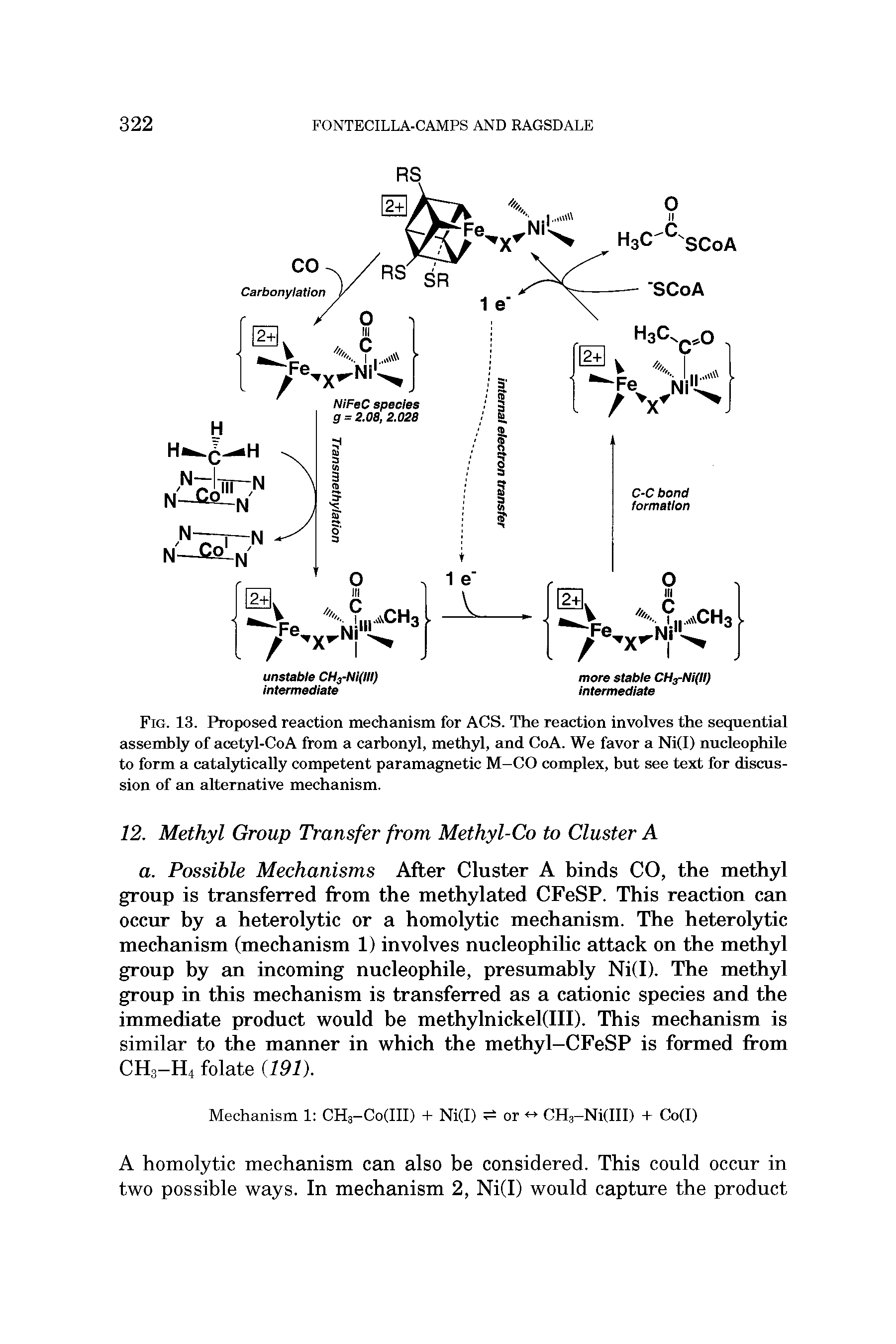Fig. 13. Proposed reaction mechanism for ACS. The reaction involves the sequential assembly of acetyl-CoA from a carbonyl, methyl, and CoA. We favor a Ni(l) nucleophile to form a catEdytically competent paramagnetic M-CO complex, but see text for discussion of Em alternative mechanism.