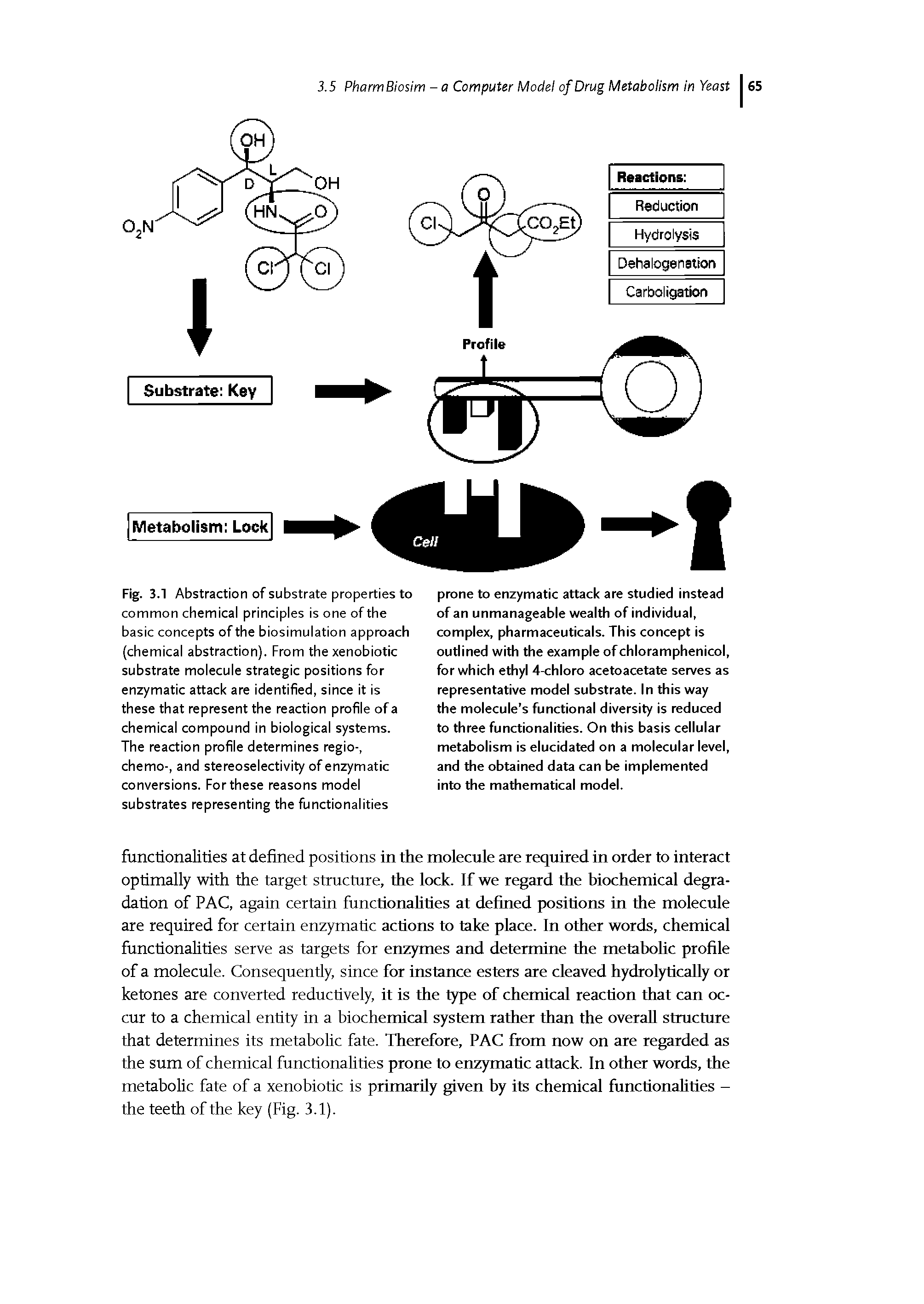 Fig. 3.1 Abstraction of substrate properties to common chemical principles is one of the basic concepts of the biosimulation approach (chemical abstraction). From the xenobiotic substrate molecule strategic positions for enzymatic attack are identified, since it is these that represent the reaction profile of a chemical compound in biological systems. The reaction profile determines regio-, chemo-, and stereoselectivity of enzymatic conversions. For these reasons model substrates representing the functionalities...