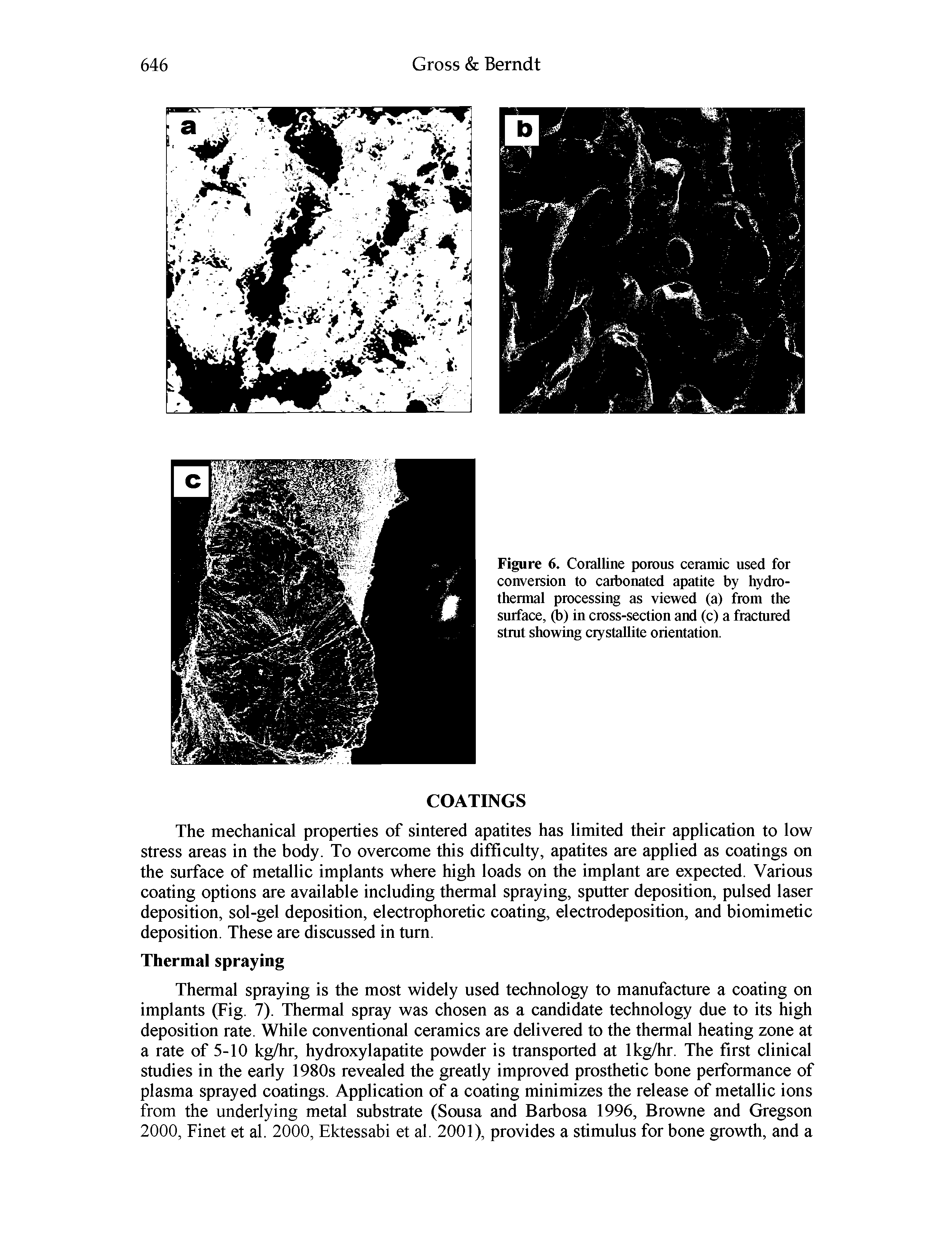 Figure 6. Coralline porous ceramic used for conversion to carbonated apadte by hydro-thermal processing as viewed (a) from the surface, (b) in cross-section and (c) a fractured strut showing crystallite orientation.