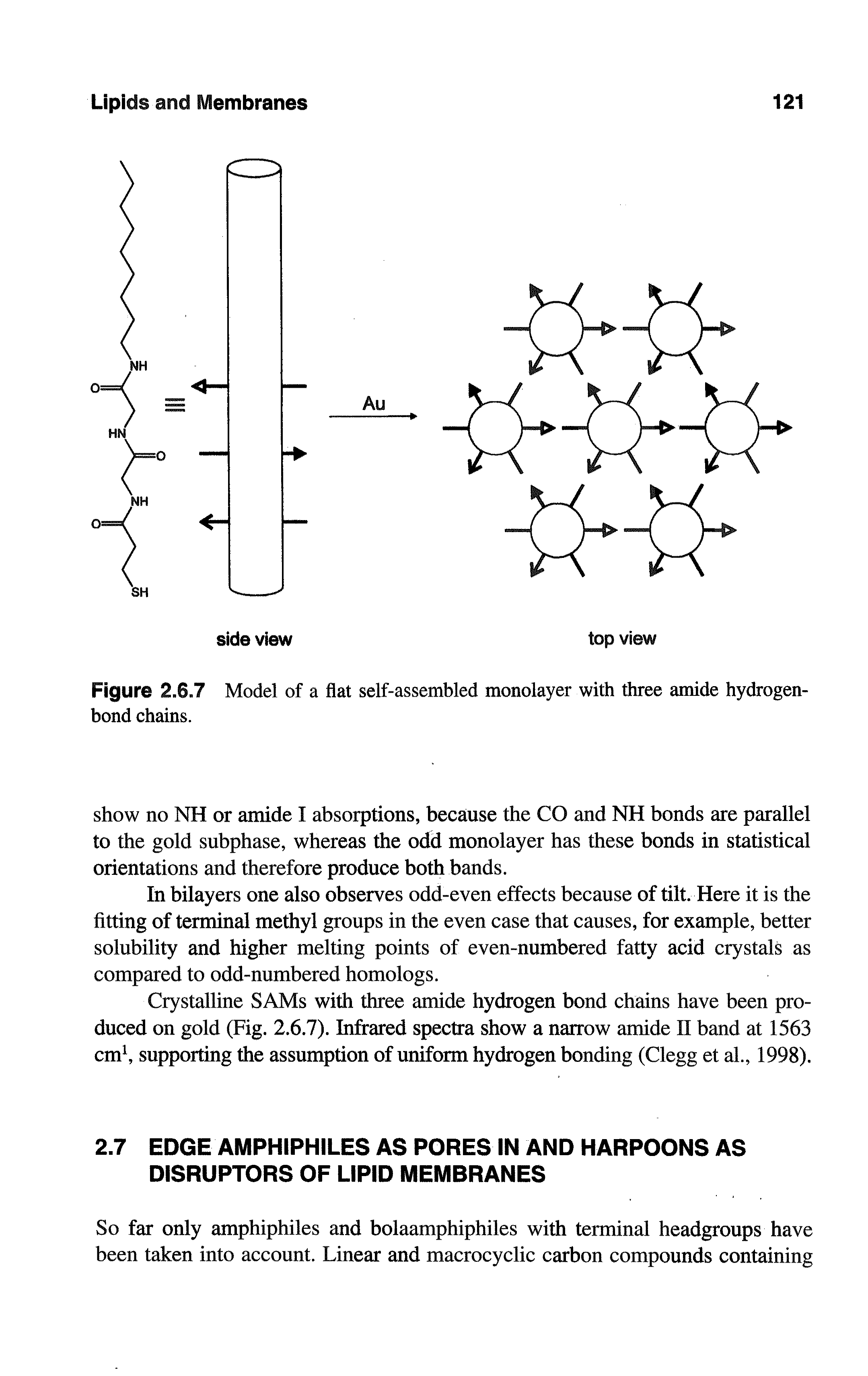 Figure 2.6.7 Model of a flat self-assembled monolayer with three amide hydrogen-bond chains.