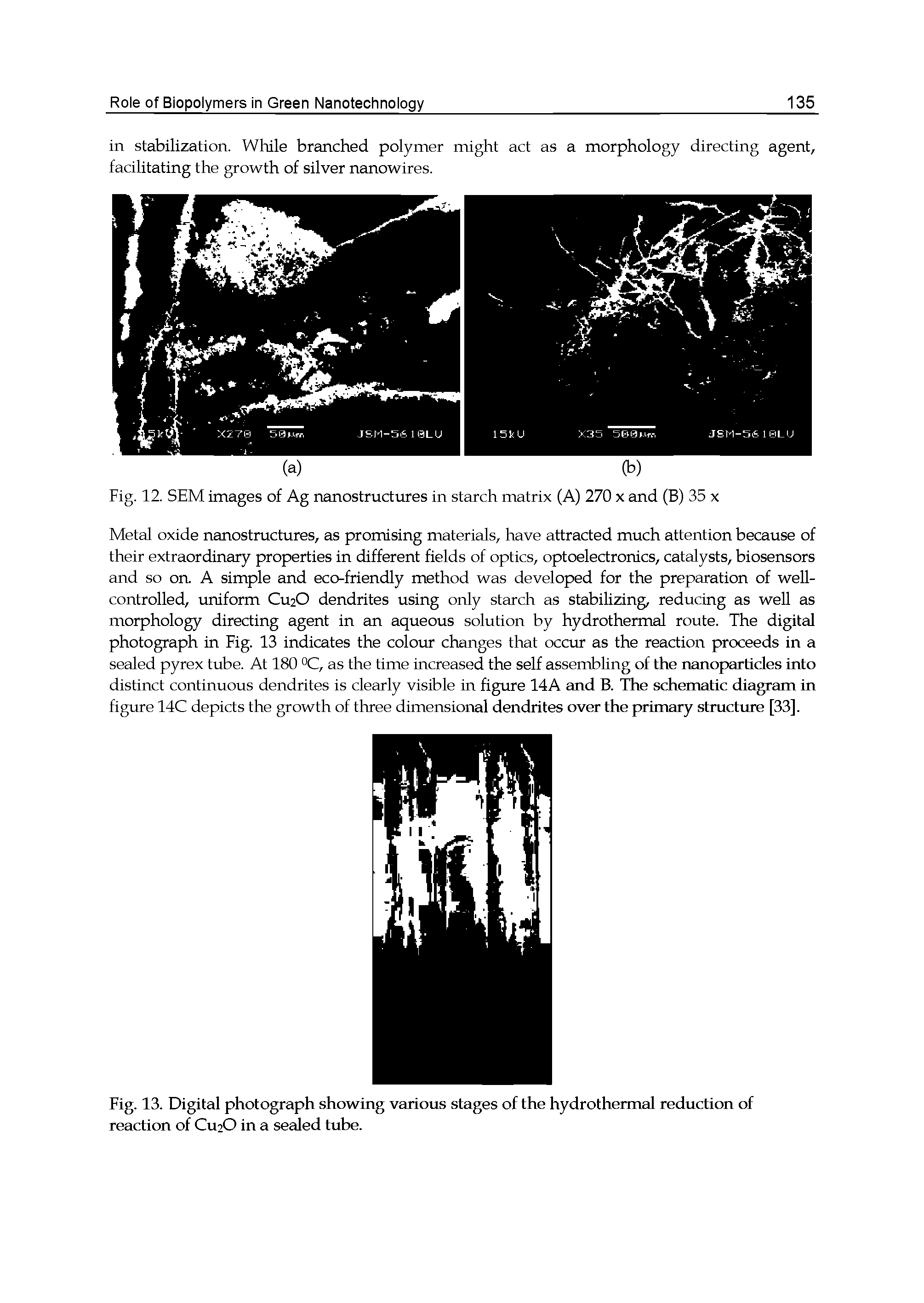 Fig. 13. Digital photograph showing various stages of the hydrothermal reduction of reaction of CU2O in a sealed tube.