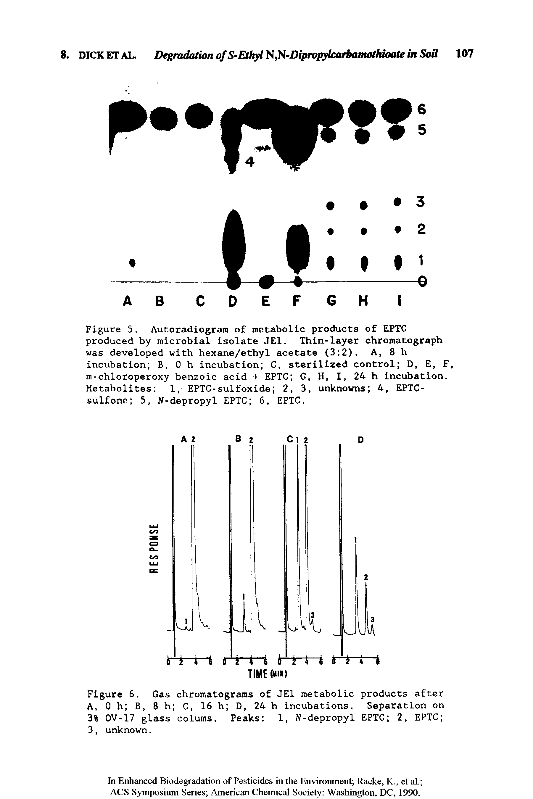 Figure 5. Autoradiogram of metabolic products of EPTC produced by microbial isolate JE1. Thin-layer chromatograph was developed with hexane/ethyl acetate (3 2). A, 8 h incubation B, Oh incubation C, sterilized control D, E, F, m-chloroperoxy benzoic acid + EPTC G, H, I, 24 h incubation. Metabolites 1, EPTC-sulfoxide 2, 3, unknowns 4, EPTC-sulfone 5, N-depropyl EPTC 6, EPTC.