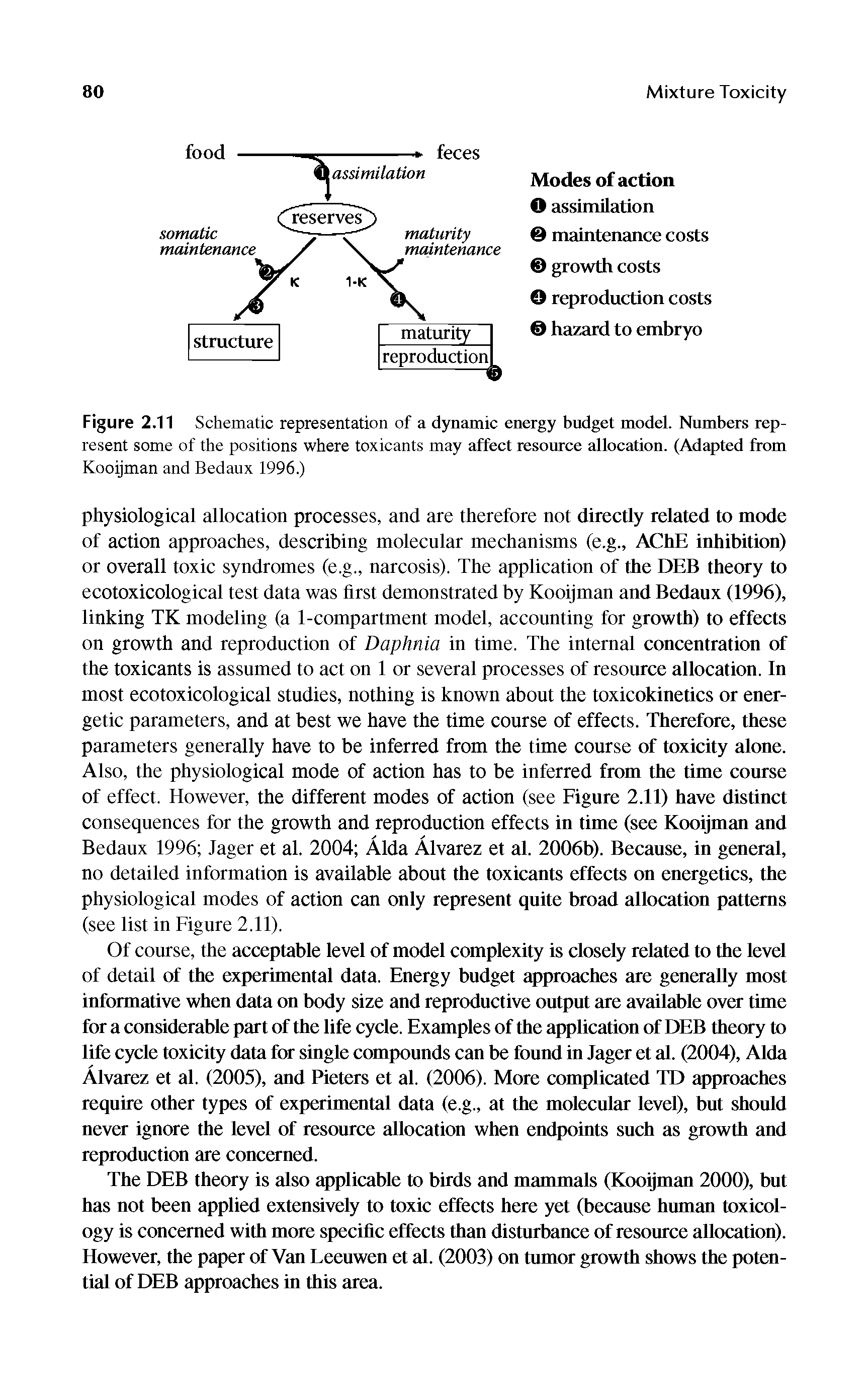 Figure 2.11 Schematic representation of a dynamic energy budget model. Numbers represent some of the positions where toxicants may affect resource allocation. (Adapted from Kooijman and Bedaux 1996.)...