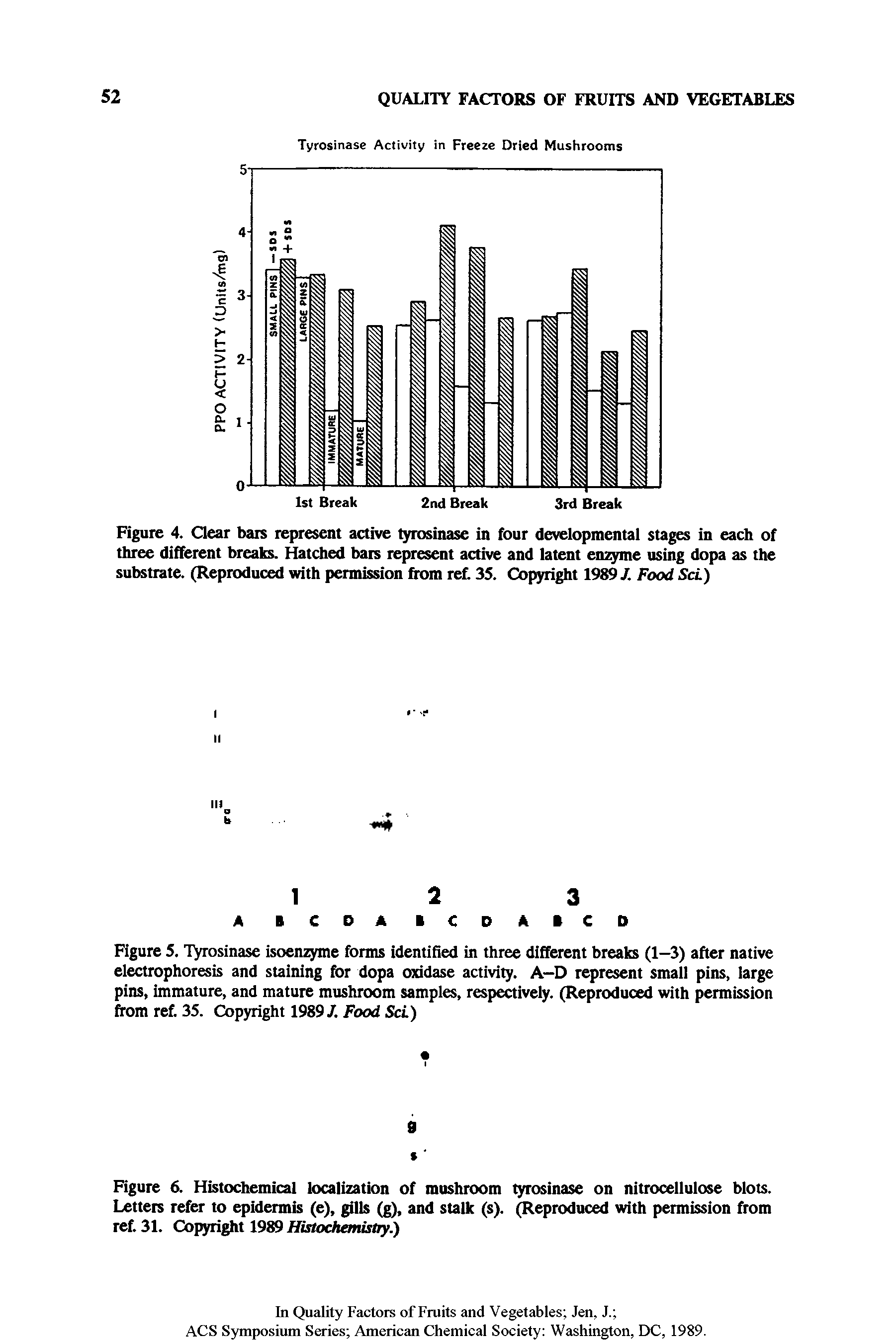 Figure 5. Tyrosinase isoenzyme forms identified in three different breaks (1—3) after native electrophoresis and staining for dopa oxidase activity. A—D represent small pins, large pins, immature, and mature mushroom samples, respectively. (Reproduced with permission from ref. 35. Copyright 1989/. Food ScL)...