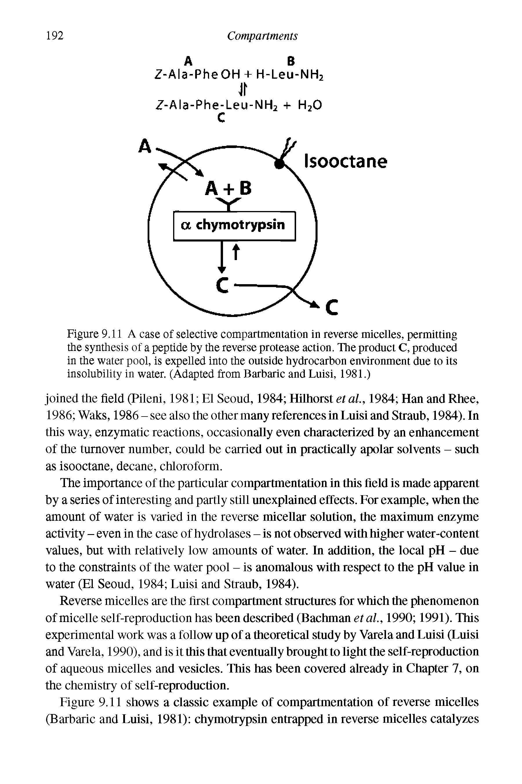 Figure 9.11 A case of selective compartmentation in reverse micelles, permitting the synthesis of a peptide by the reverse protease action. The product C, produced in the water pool, is expelled into the outside hydrocarbon environment due to its insolubility in water. (Adapted from Barbaric and Luisi, 1981.)...