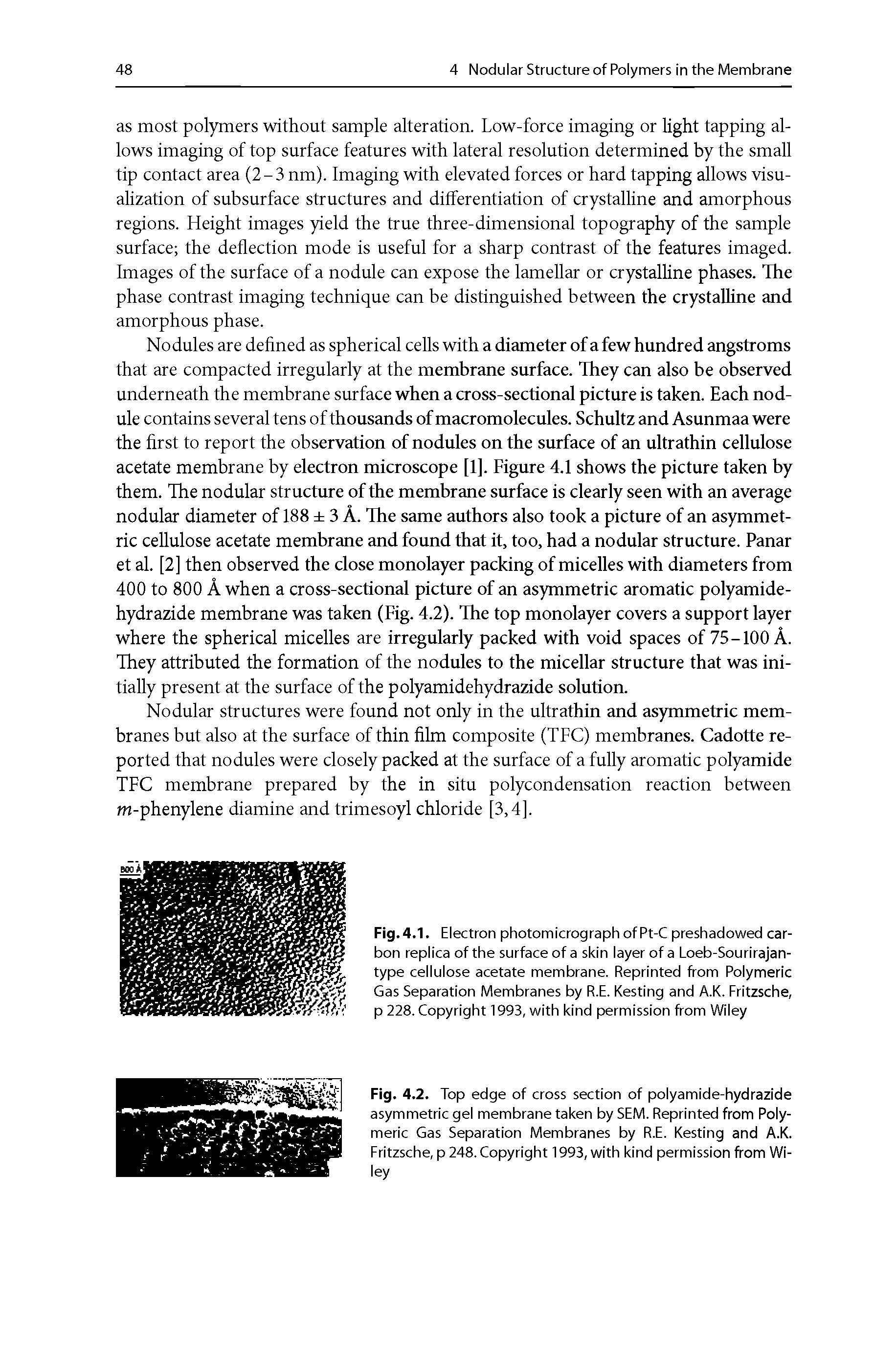 Fig. 4.2. Top edge of cross section of polyamide-hydrazide asymmetric gel membrane taken by SEM. Reprinted from Polymeric Gas Separation Membranes by R.E. Resting and A.R. Fritzsche, p 248. Copyright 1993, with kind permission from Wiley...