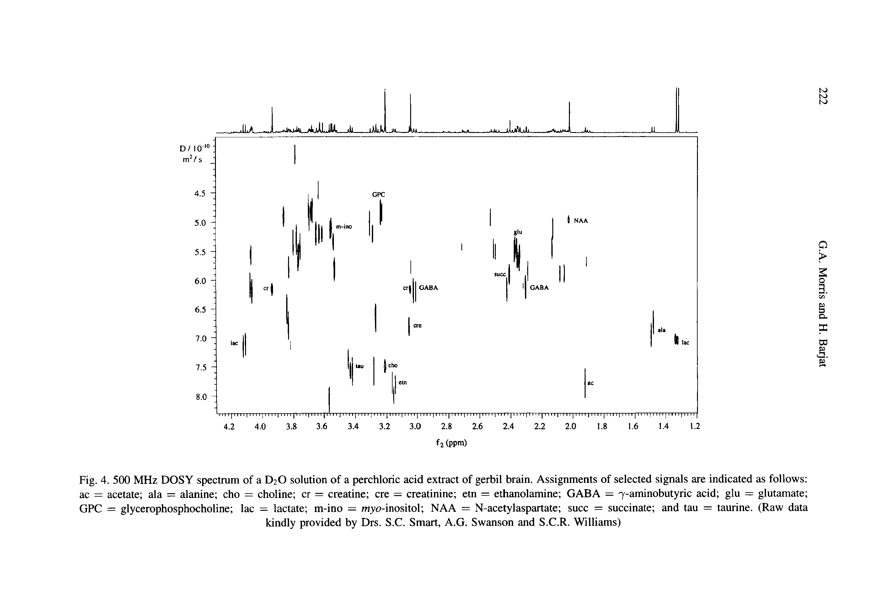 Fig. 4. 500 MHz DOSY spectrum of a D2O solution of a perchloric acid extract of gerbil brain. Assignments of selected signals are indicated as follows ac = acetate ala = alanine cho = choline cr = creatine ere = creatinine etn = ethanolamine GABA = 7-aminobutyric acid glu = glutamate GPC = glycerophosphocholine lac = lactate m-ino = myo-inositol NAA = N-acetylaspartate succ = succinate and tau = taurine. (Raw data...